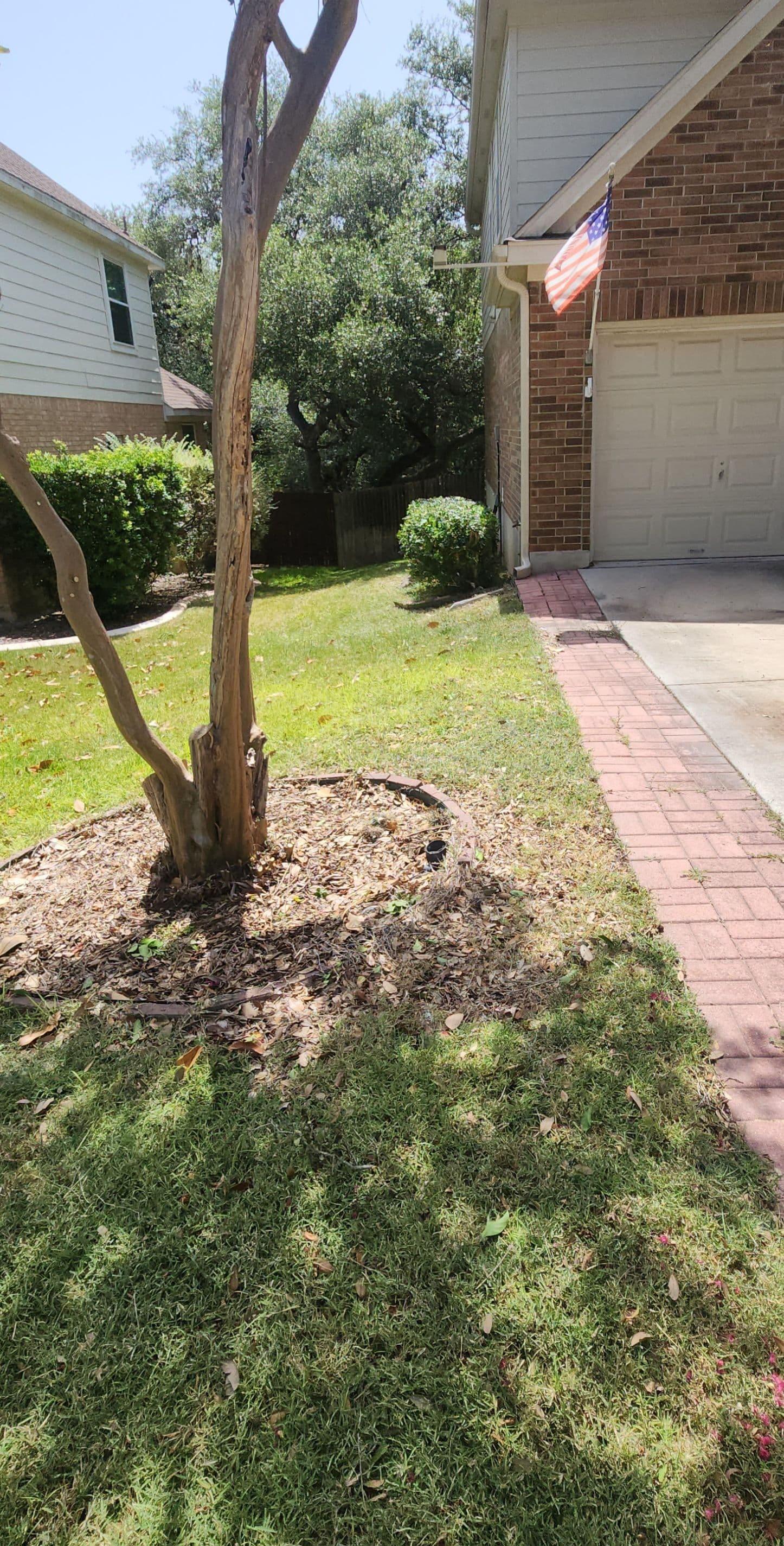 Gallery photos for Overgrown Bushes and Backyard Cleared Back to Normal: Image #3