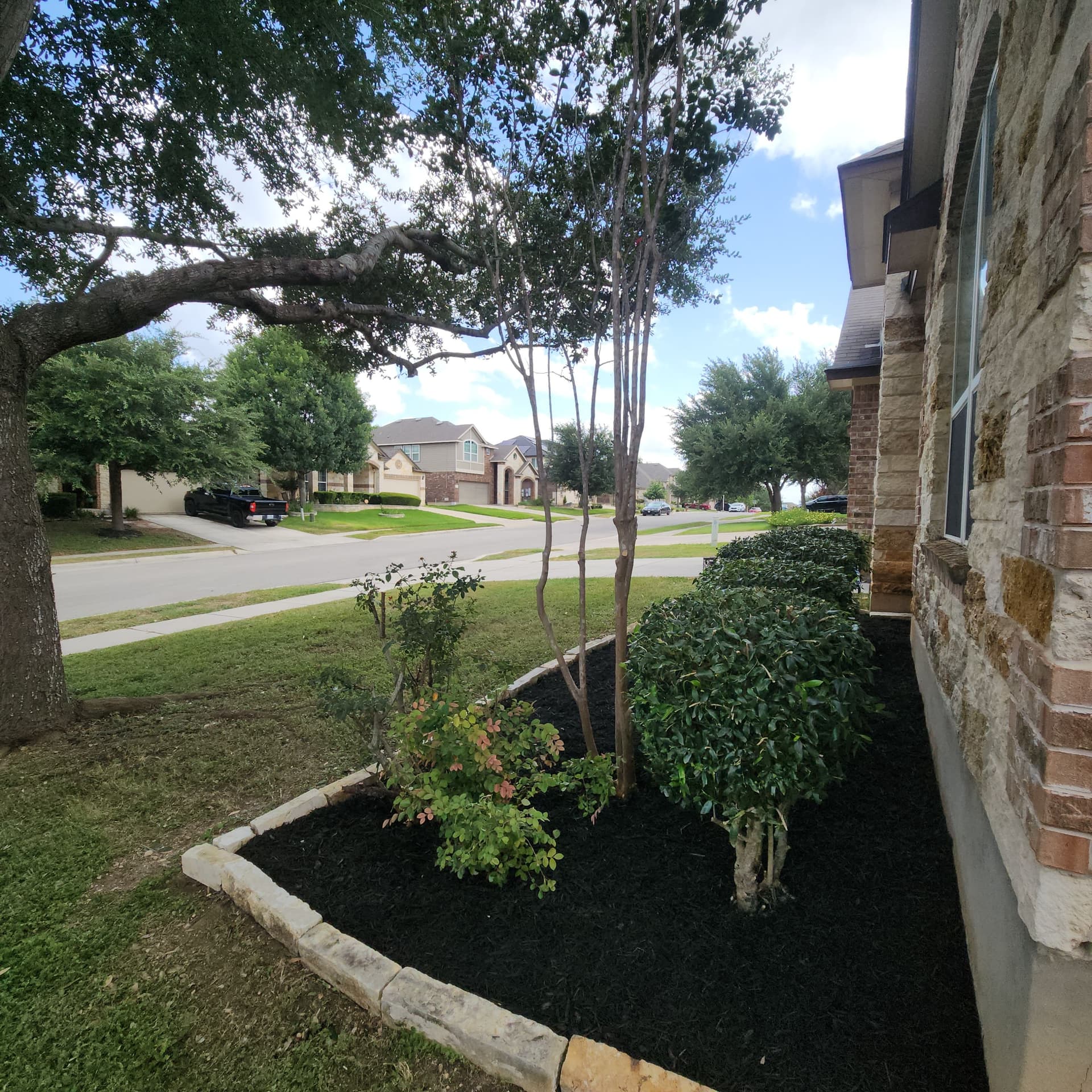 Gallery photos for Overgrown Front Beds Get a Fresh Start With Black Mulch: Image #6