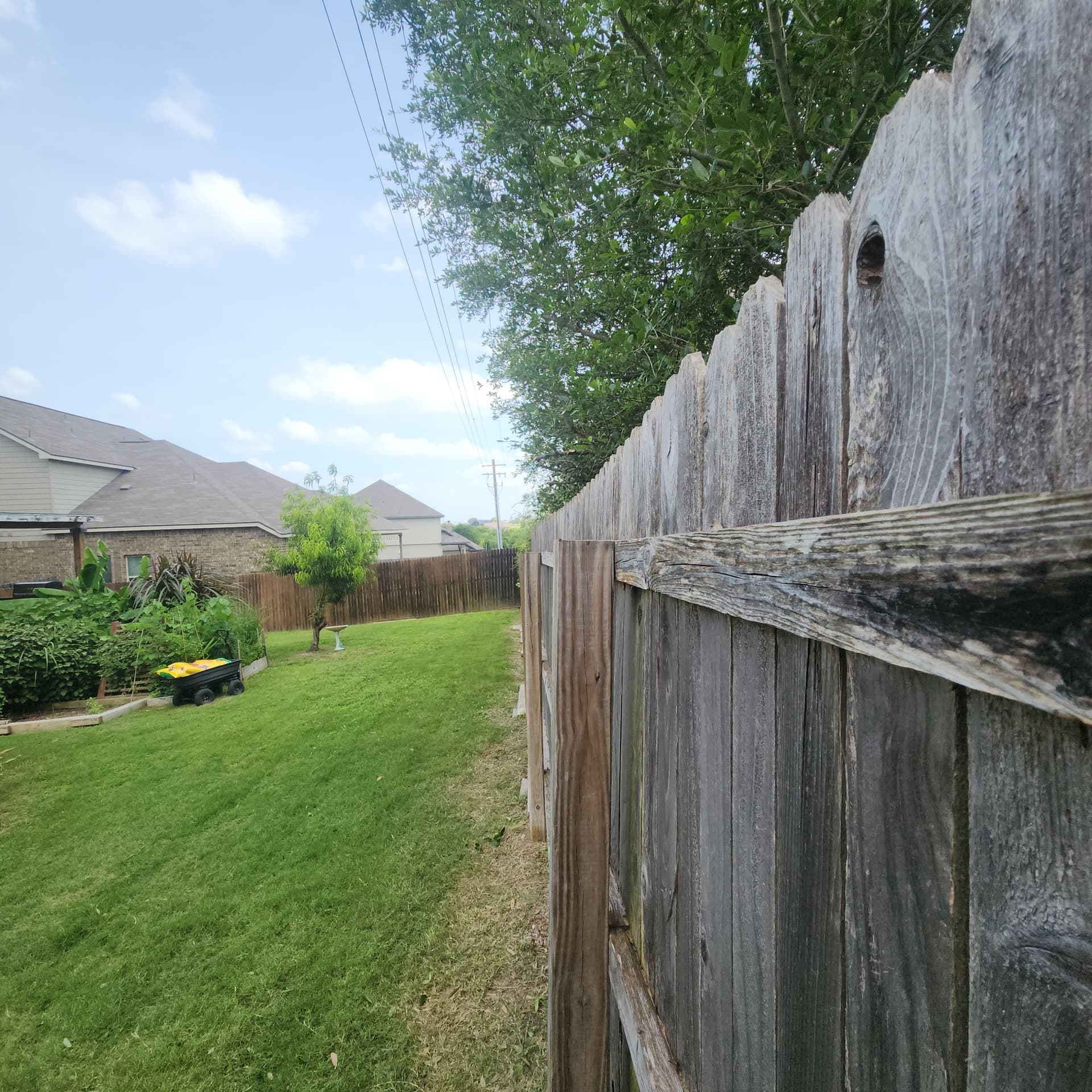 Gallery photos for Tree Trimming Along the Fence Line - Before and After: Image #1