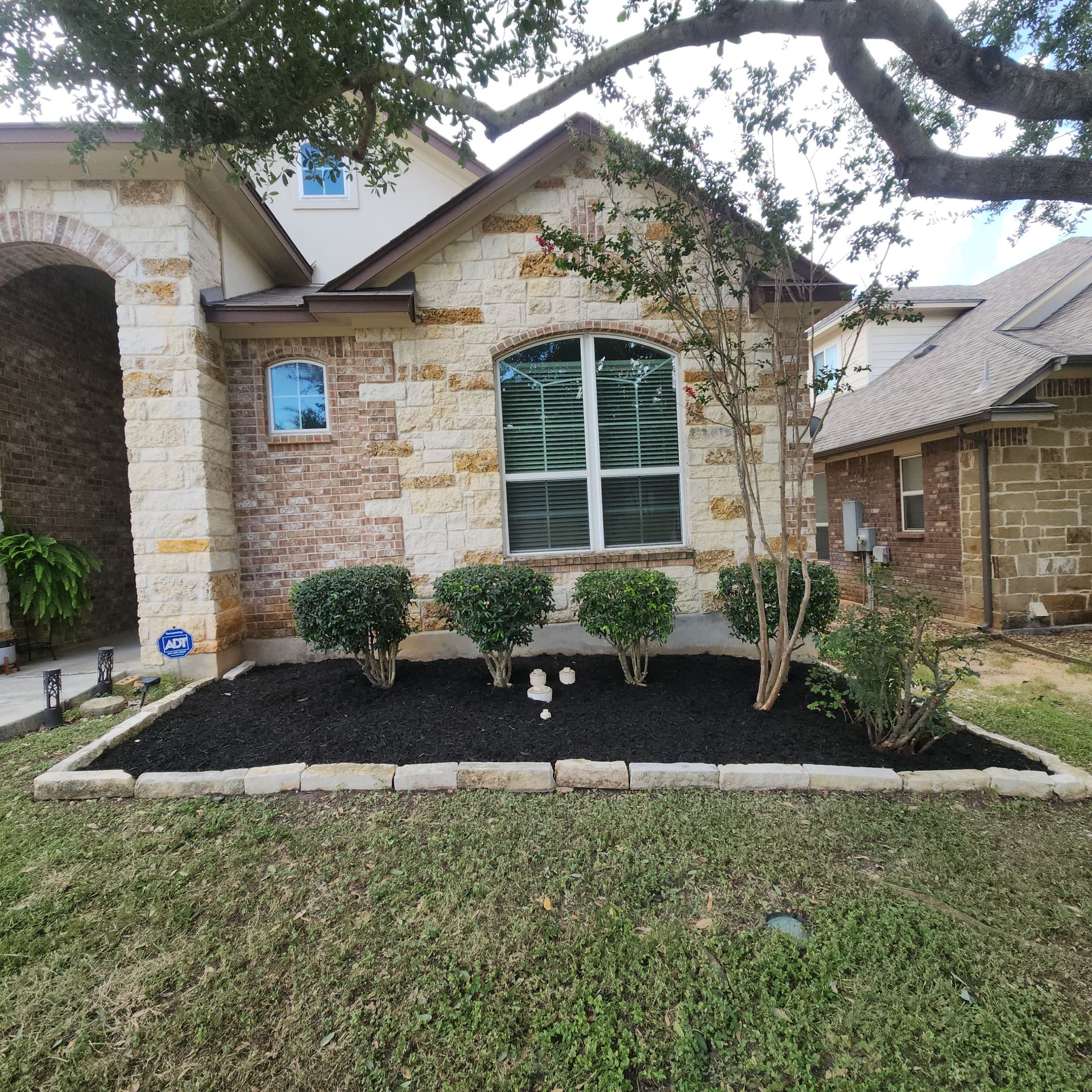 Overgrown Front Beds Get a Fresh Start With Black Mulch image