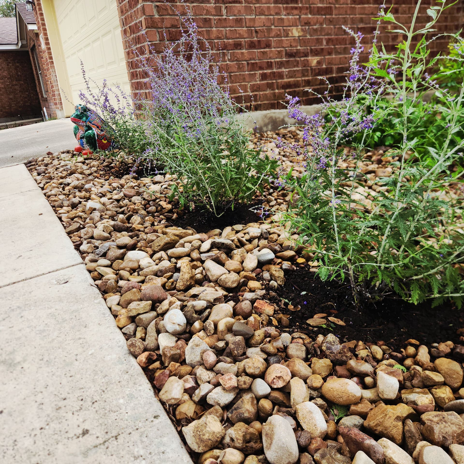 Rock Bed Refresh with Smart Plant Choices That Actually Work image