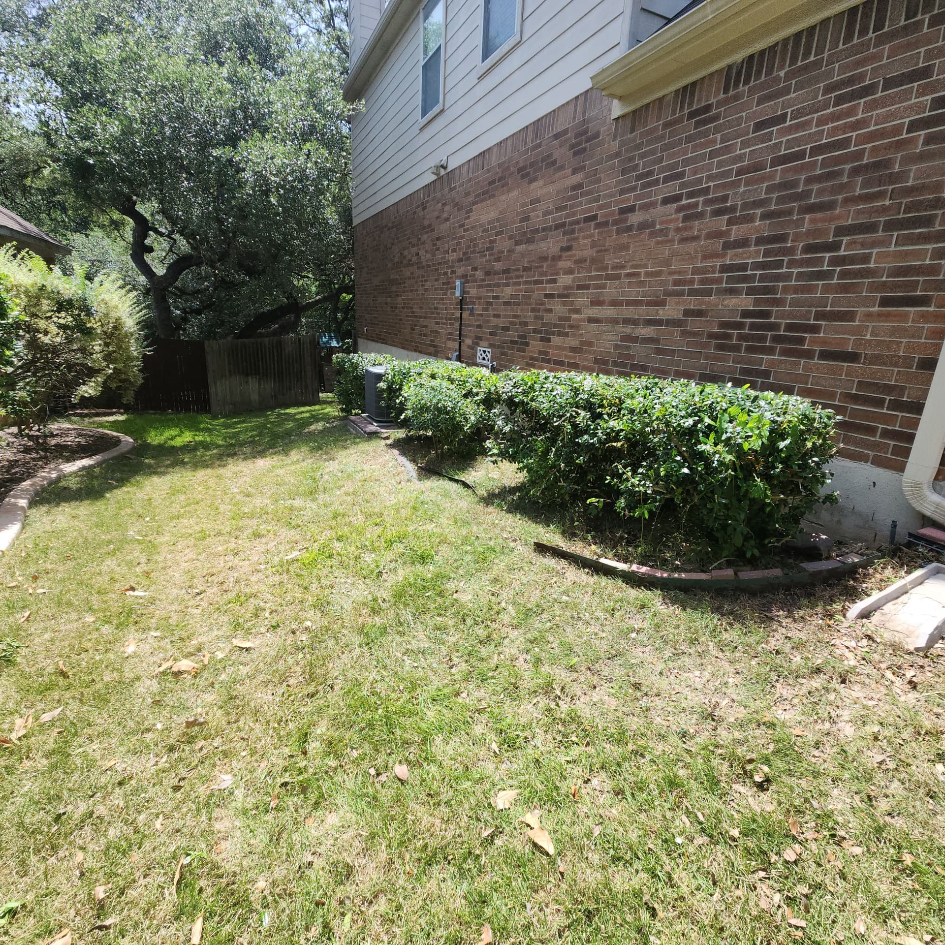 Overgrown Bushes and Backyard Cleared Back to Normal image