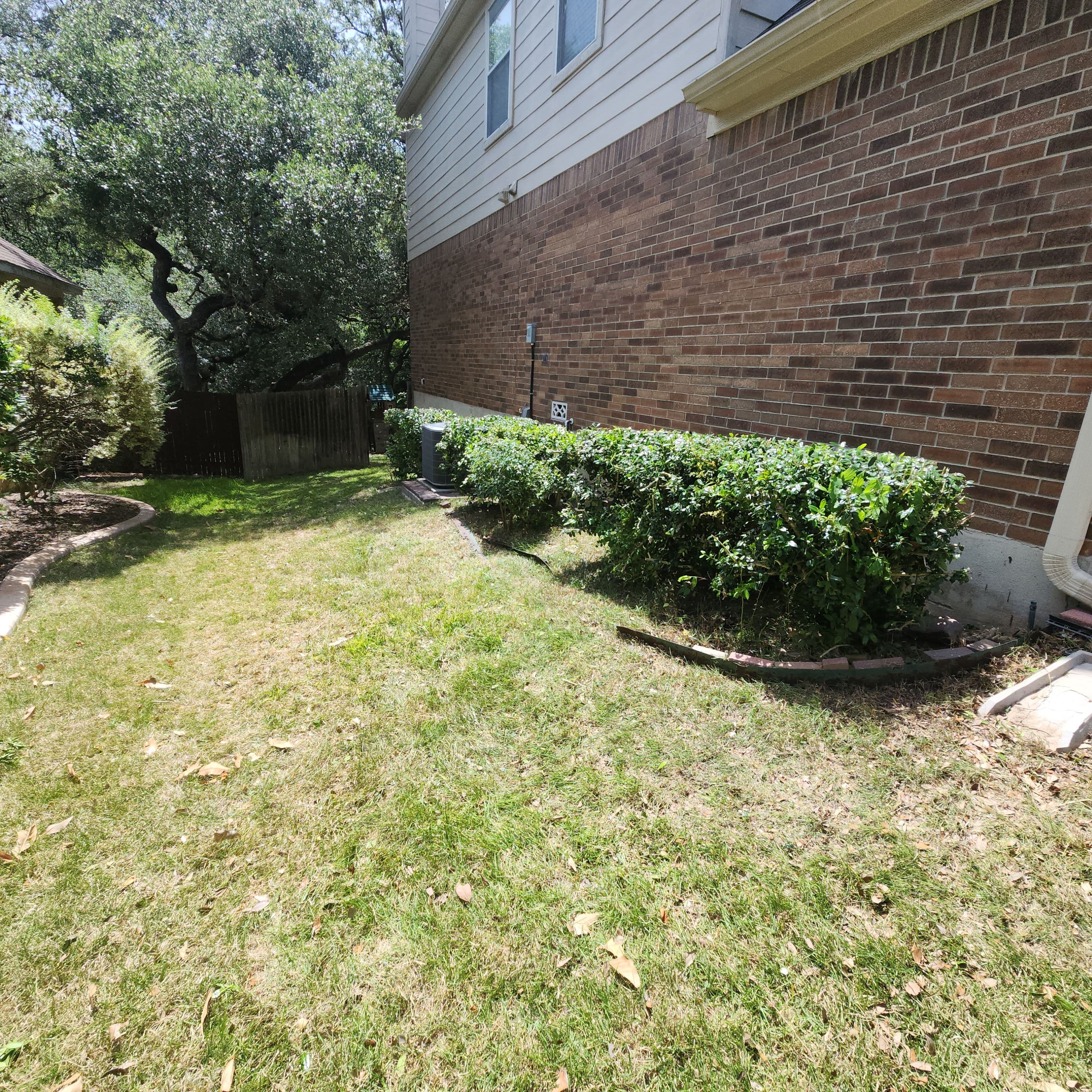 Project Overgrown Bushes and Backyard Cleared Back to Normal image