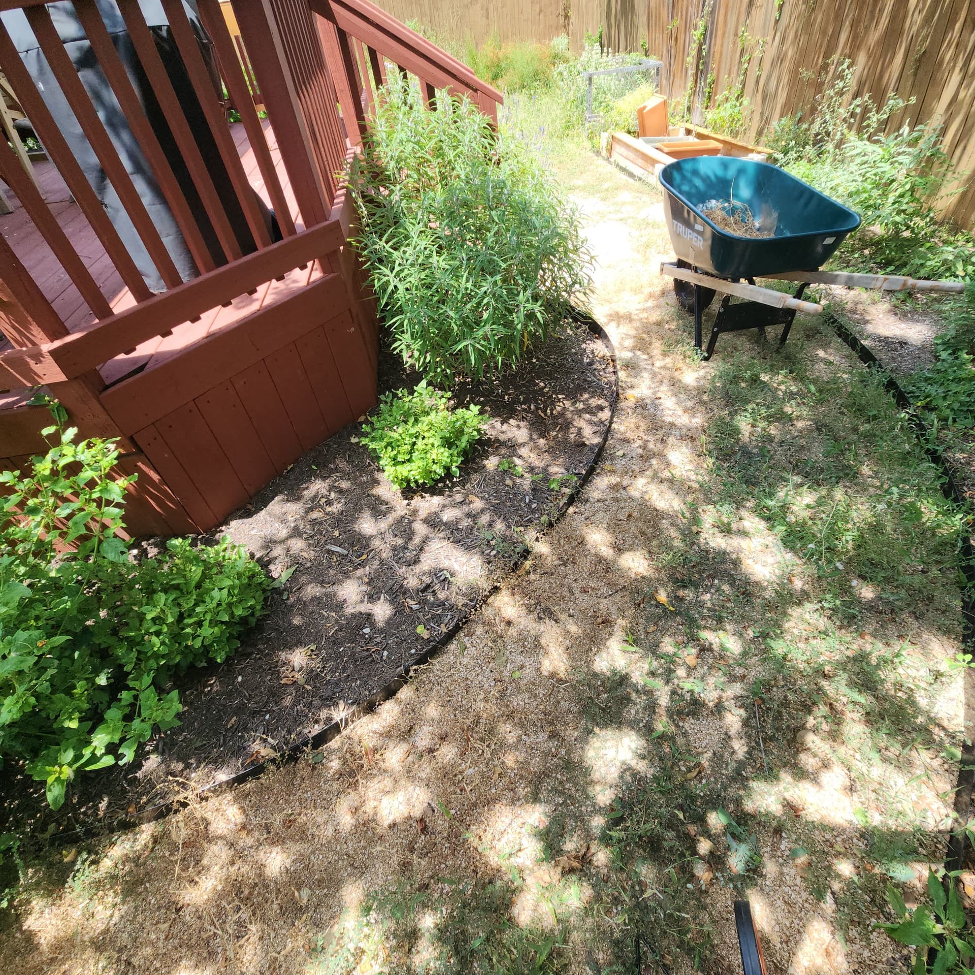 Gallery photos for Xeriscaped Backyard Cleanup Gets Back Under Control: Image #2