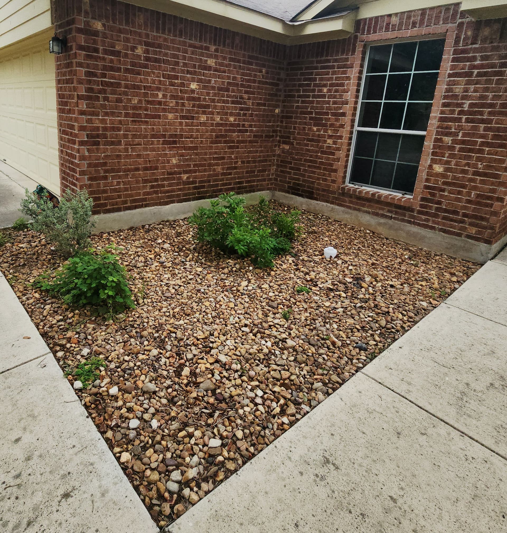 Gallery photos for Rock Bed Refresh with Smart Plant Choices That Actually Work: Image #3