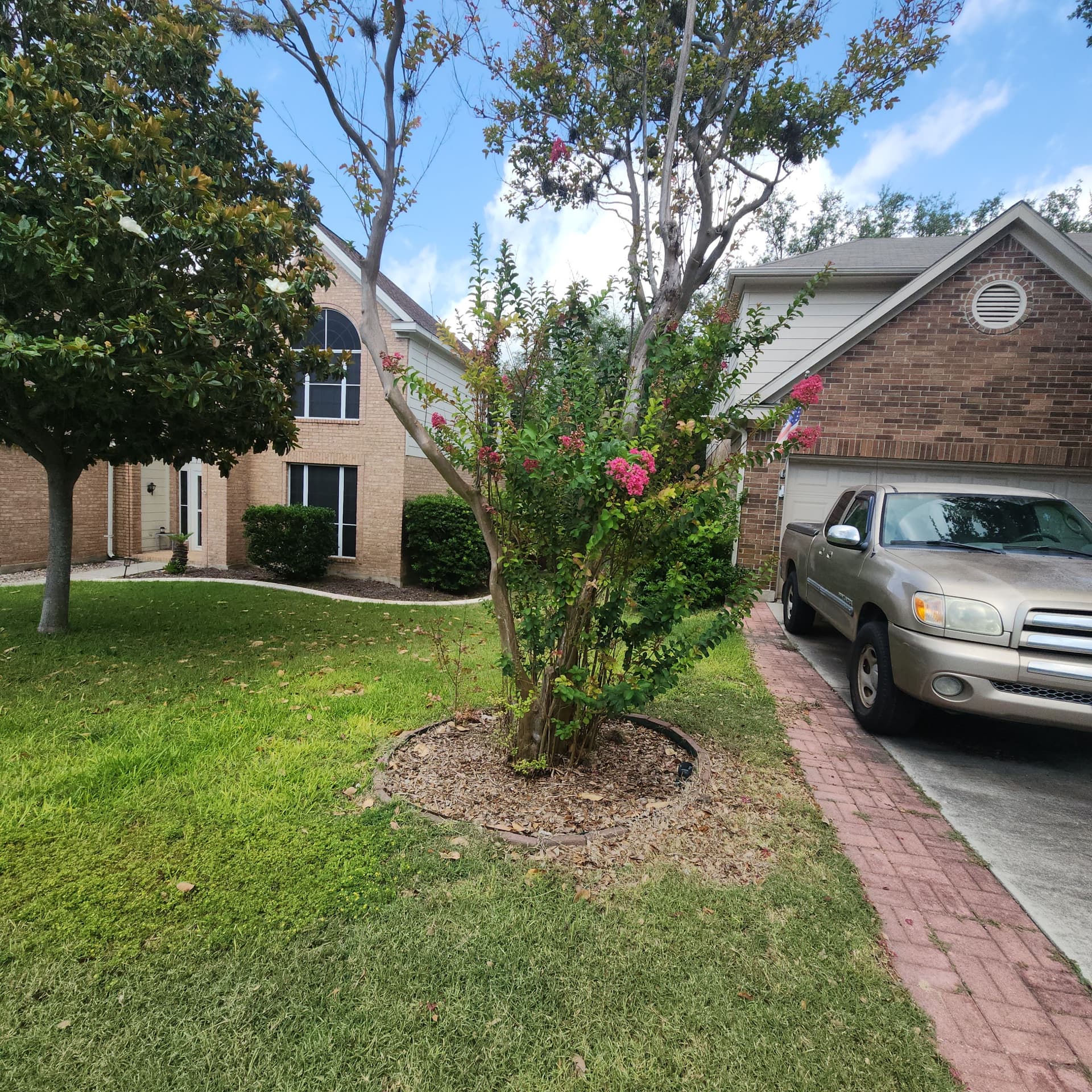 Gallery photos for Overgrown Bushes and Backyard Cleared Back to Normal: Image #2