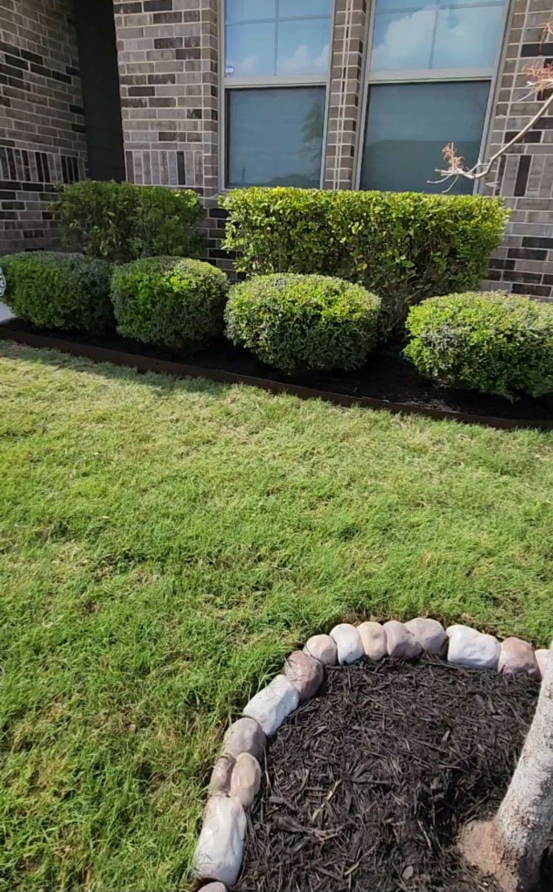 Gallery photos for Front Bed Bush Trim and Natural Mulch Swap: Image #1