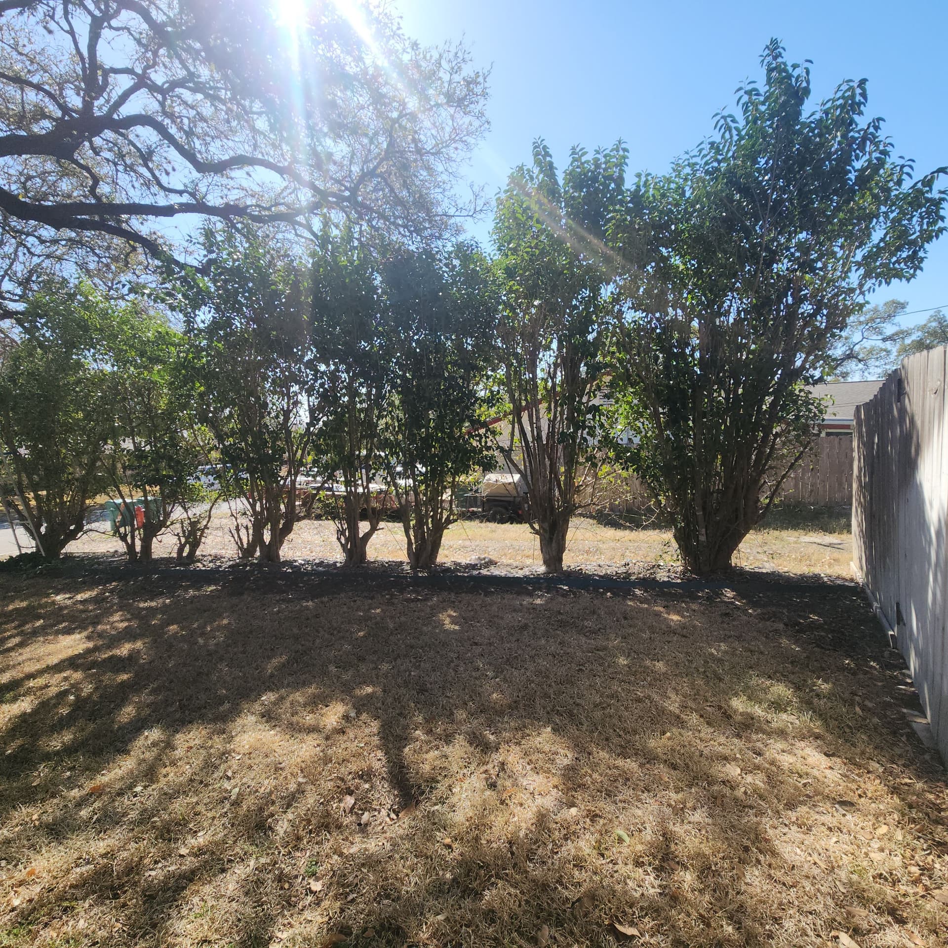 Expert Hedge Trimming in Universal City TX image