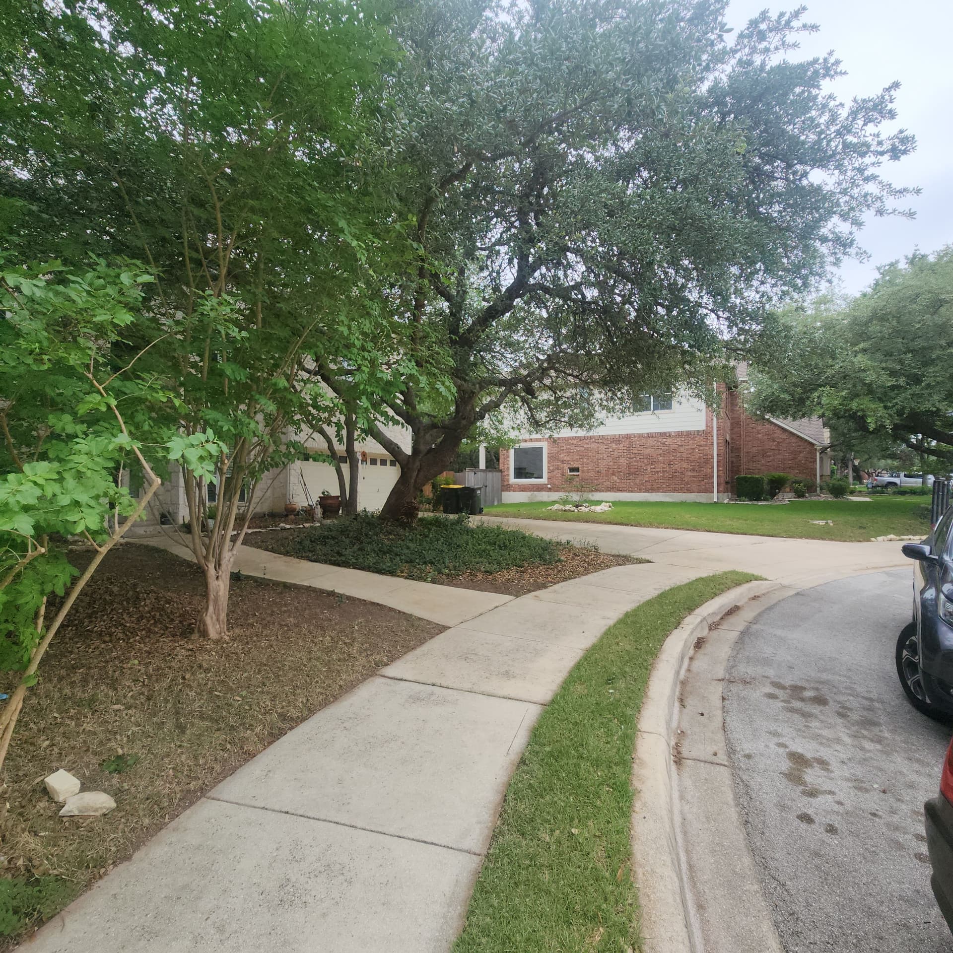 Gallery photos for Tree Trimming That Clears the Way Without Hurting the Tree: Image #2