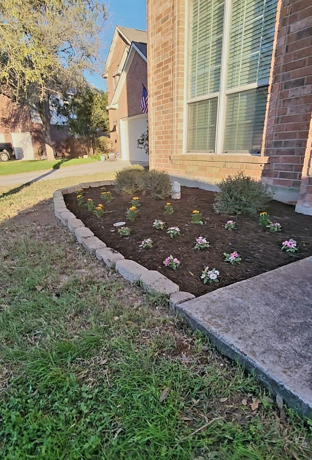 Overgrown Bushes Out Dwarf Shrubs and Fresh Color In image