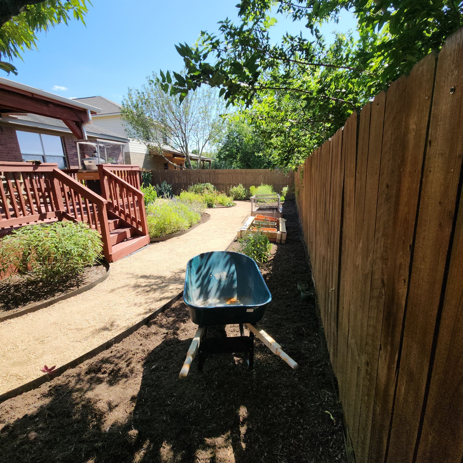 Gallery photos for Xeriscaped Backyard Cleanup Gets Back Under Control: Image #3