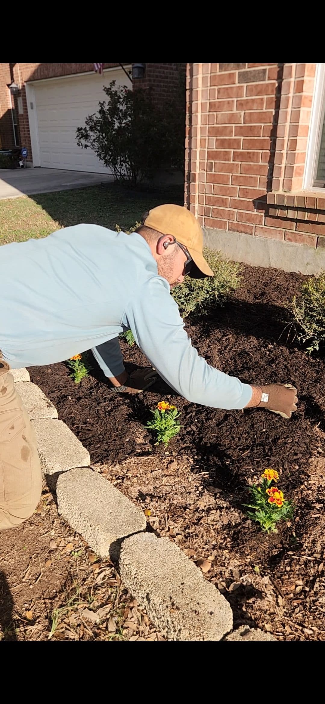 Gallery photos for Overgrown Bushes Out Dwarf Shrubs and Fresh Color In: Image #2