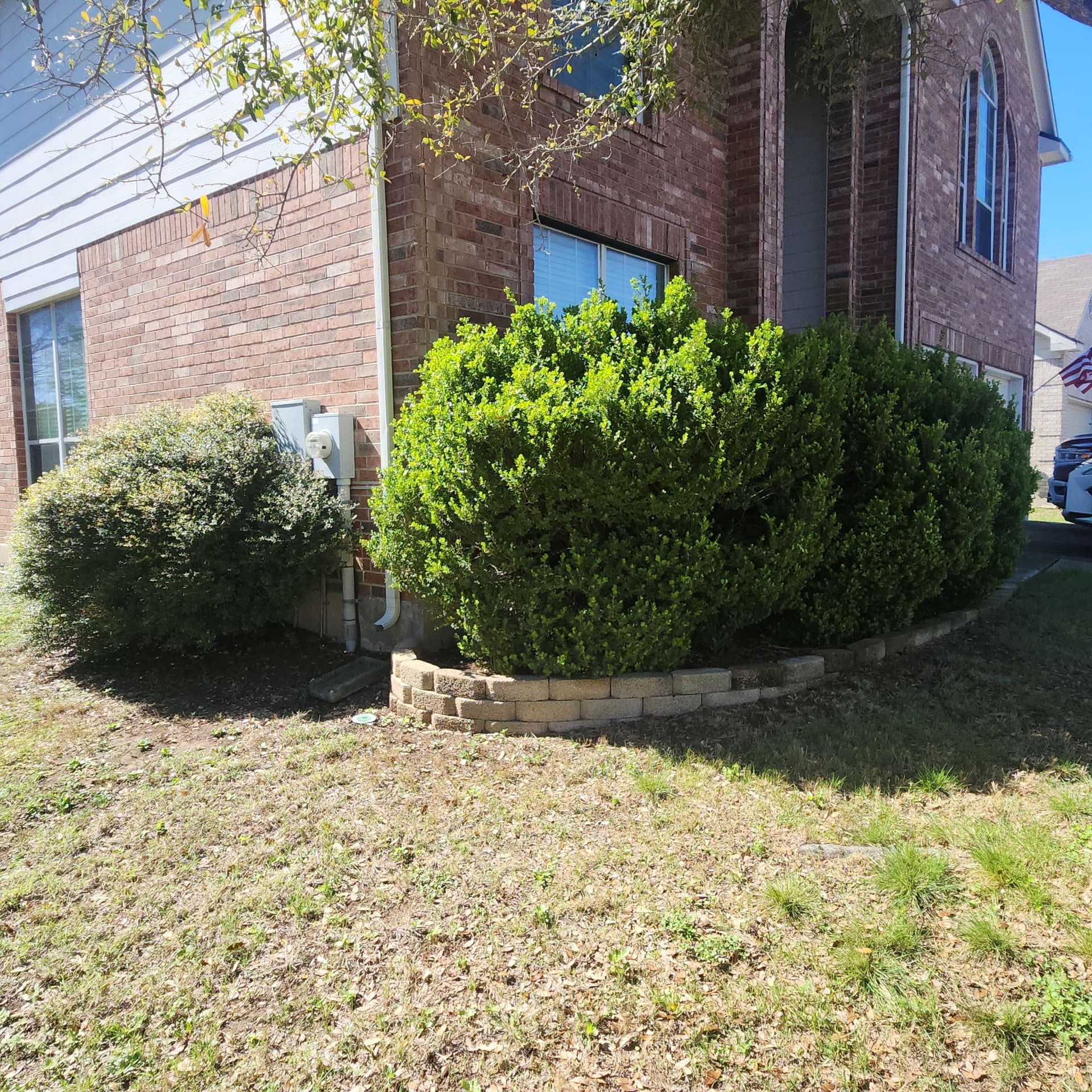 Gallery photos for Overgrown Bushes Out Dwarf Shrubs and Fresh Color In: Image #3
