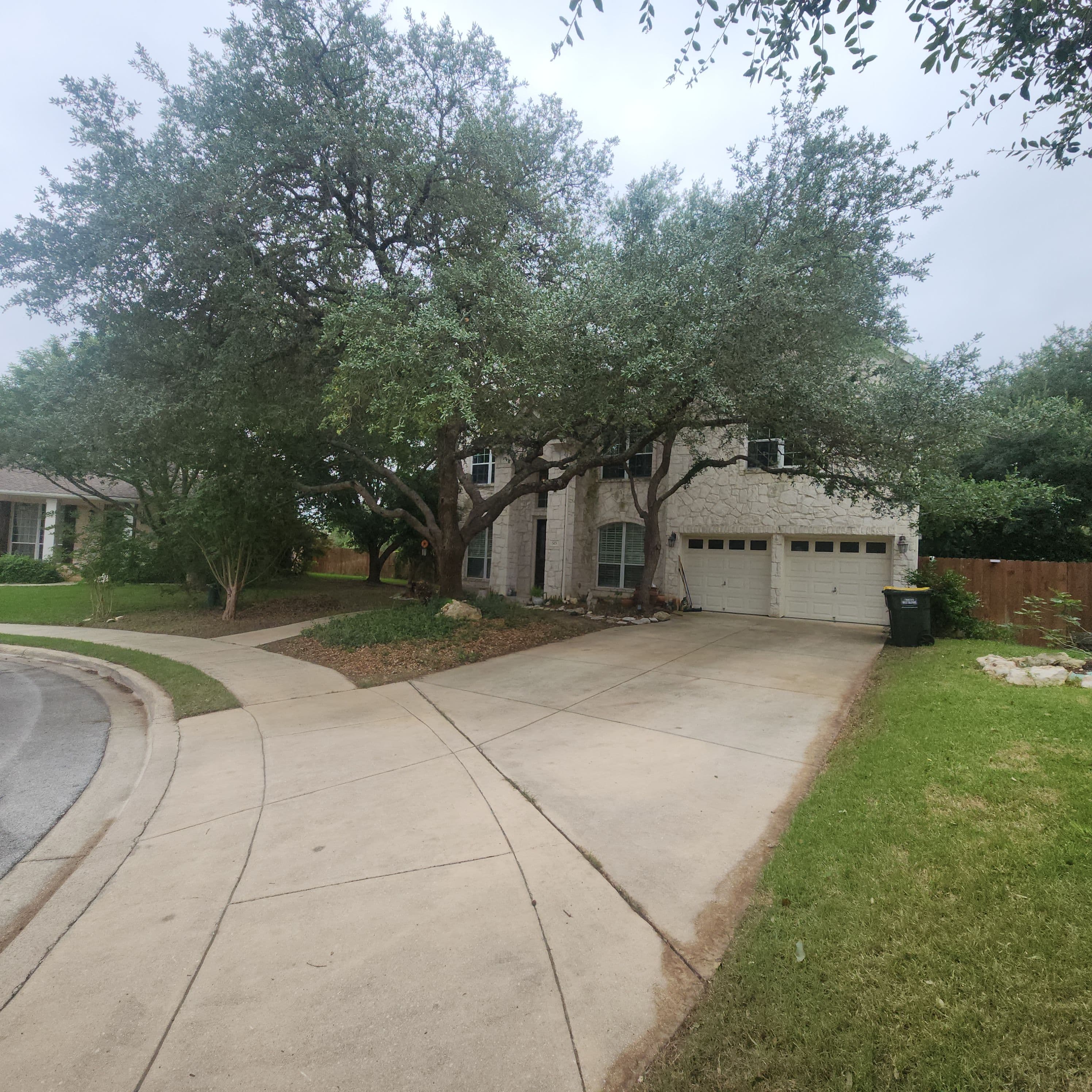 Project Tree Trimming That Clears the Way Without Hurting the Tree image