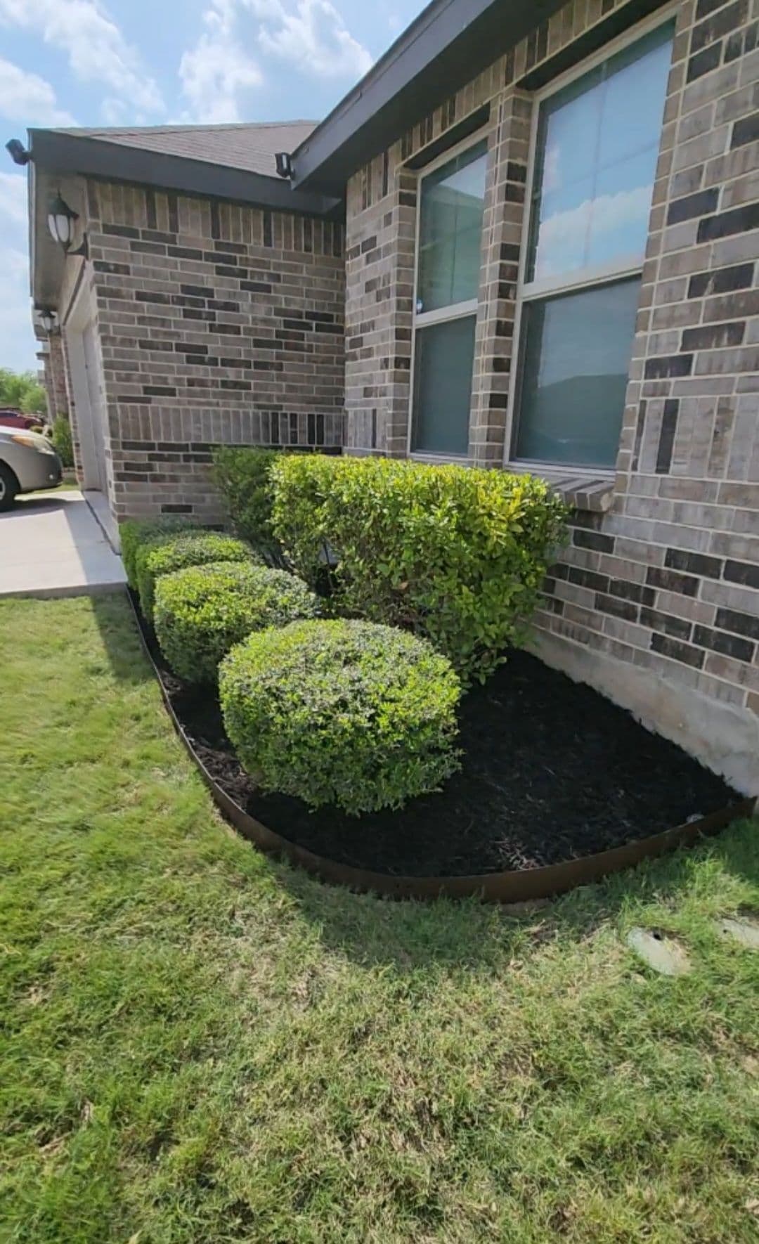 Gallery photos for Front Bed Bush Trim and Natural Mulch Swap: Image #5