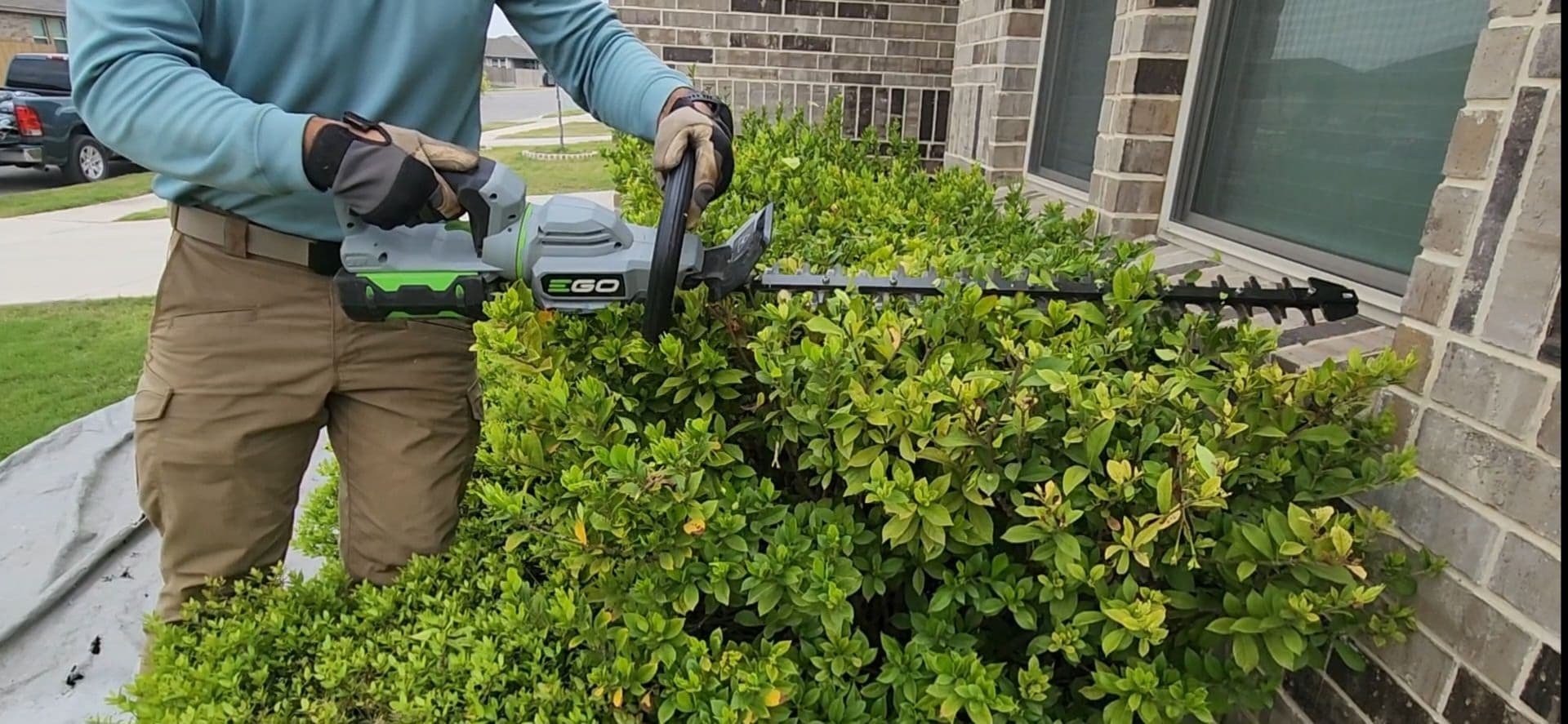 Gallery photos for Front Bed Bush Trim and Natural Mulch Swap: Image #4