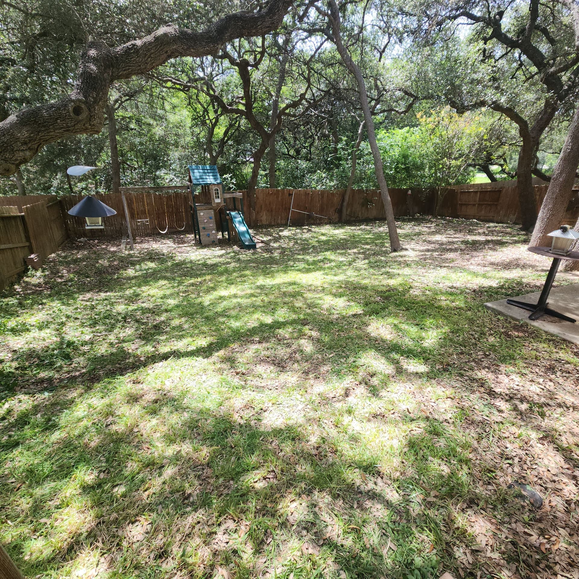 Gallery photos for Overgrown Bushes and Backyard Cleared Back to Normal: Image #6