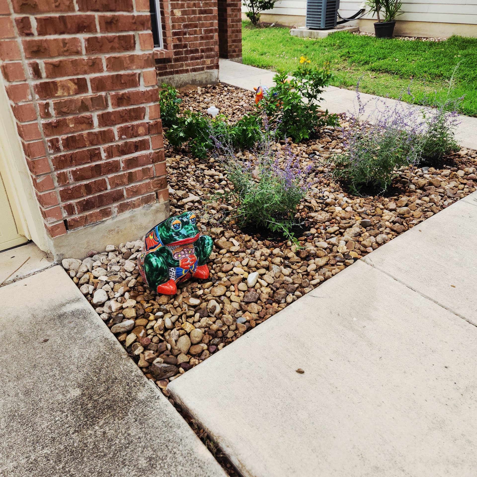 Gallery photos for Rock Bed Refresh with Smart Plant Choices That Actually Work: Image #2
