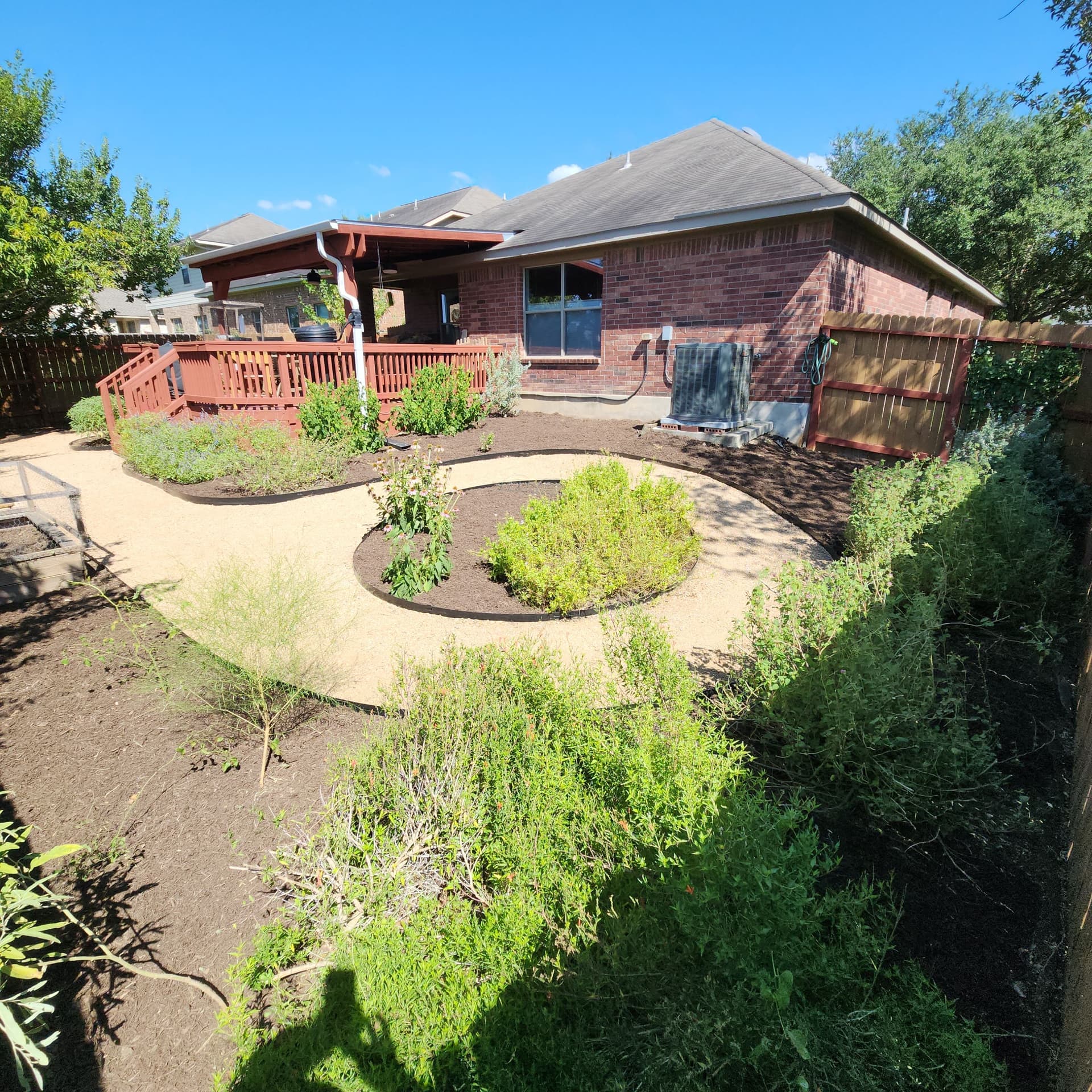 Xeriscaped Backyard Cleanup Gets Back Under Control image