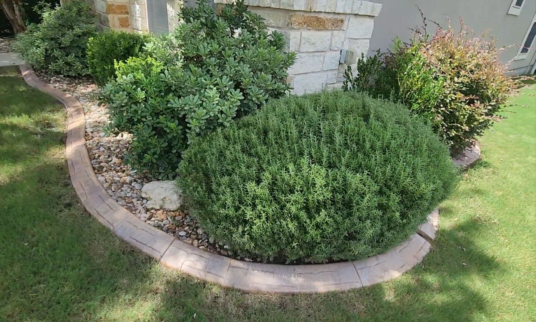Gallery photos for Shrub Trimming and Yard Cleanup for New Texas Homeowners: Image #3