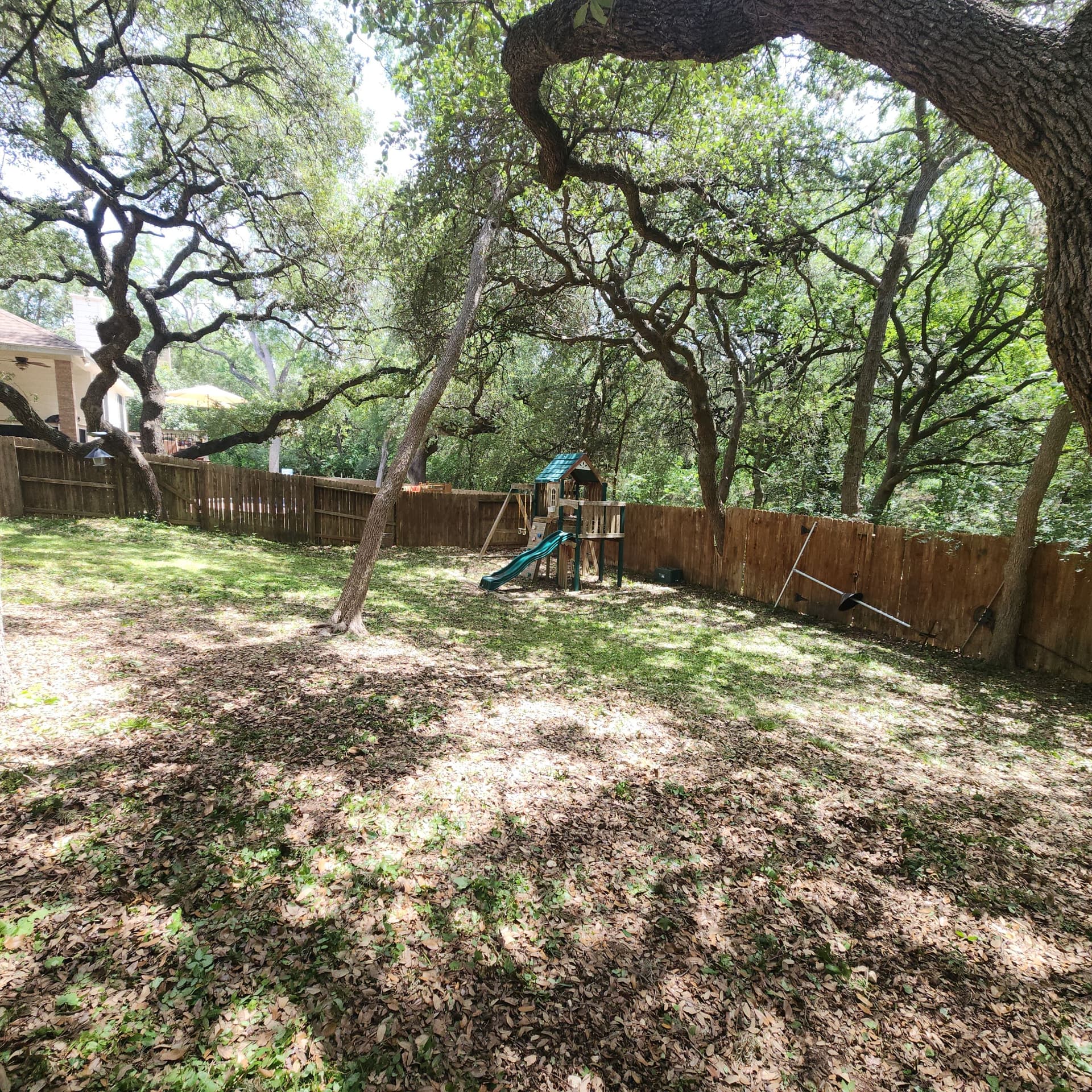 Gallery photos for Overgrown Bushes and Backyard Cleared Back to Normal: Image #5