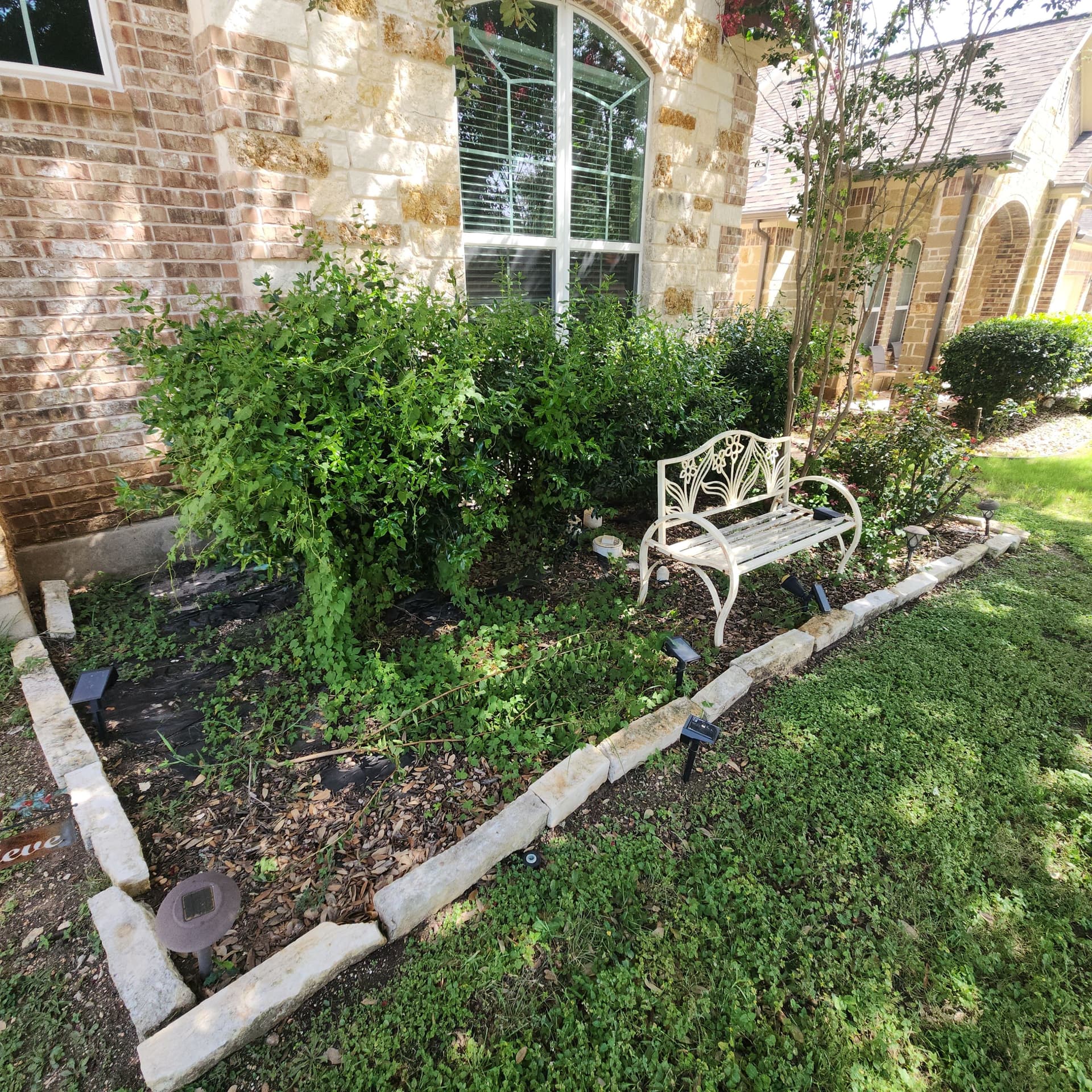 Gallery photos for Overgrown Front Beds Get a Fresh Start With Black Mulch: Image #1
