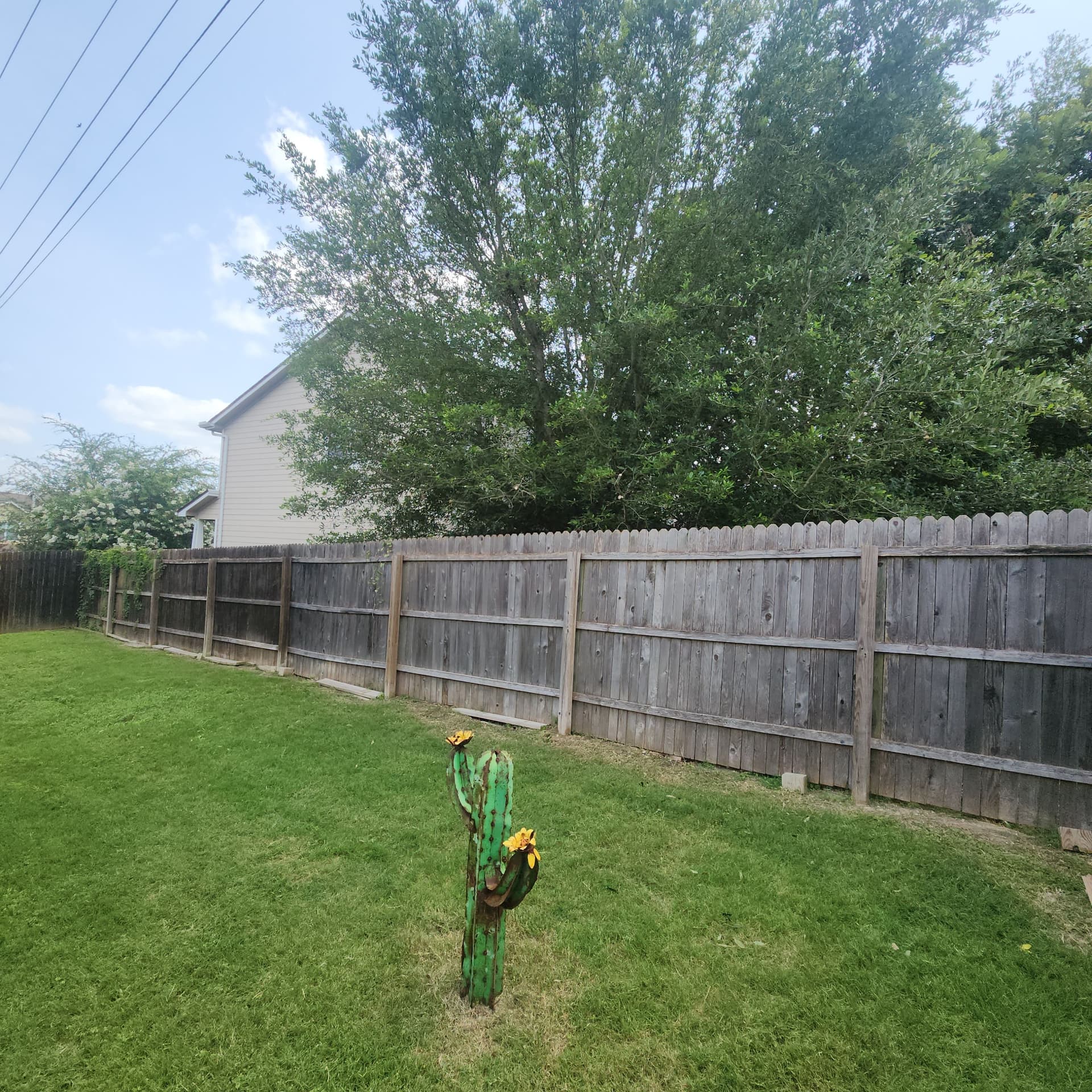 Gallery photos for Tree Trimming Along the Fence Line - Before and After: Image #5