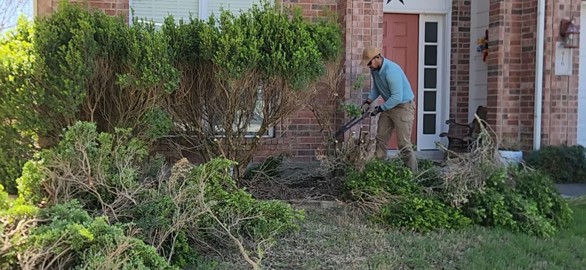 Gallery photos for Overgrown Bushes Out Dwarf Shrubs and Fresh Color In: Image #1