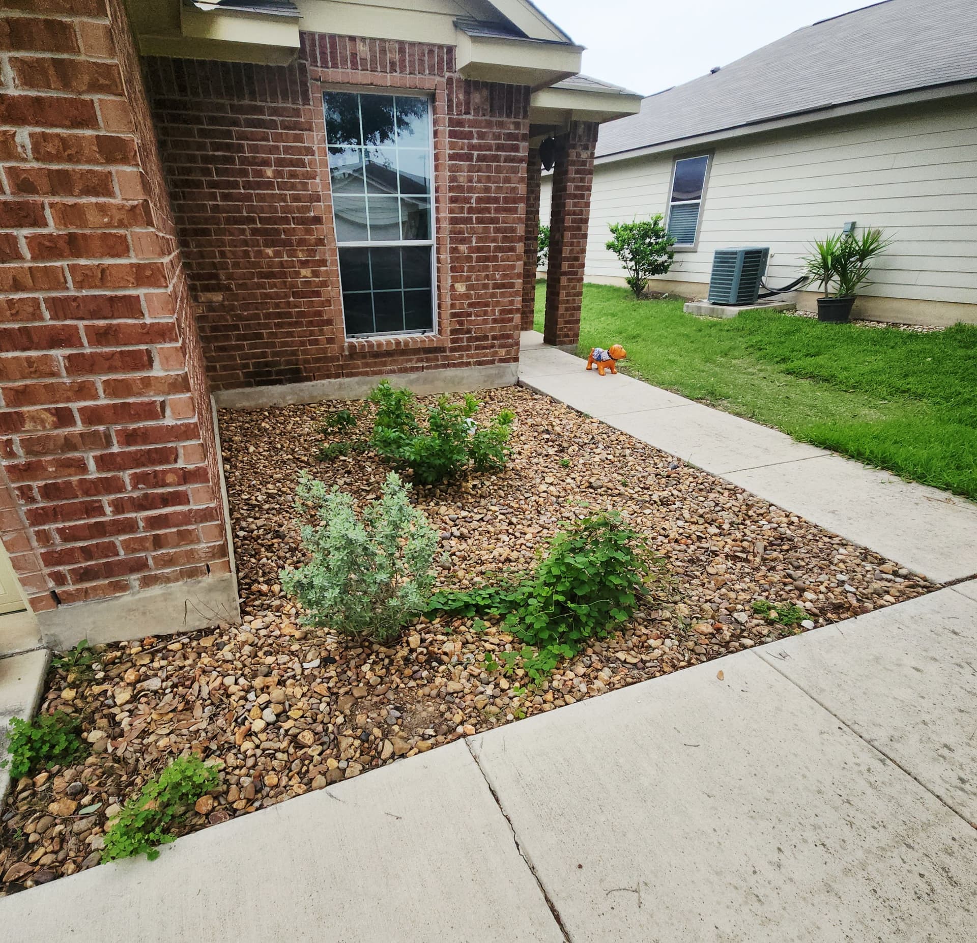 Gallery photos for Rock Bed Refresh with Smart Plant Choices That Actually Work: Image #1