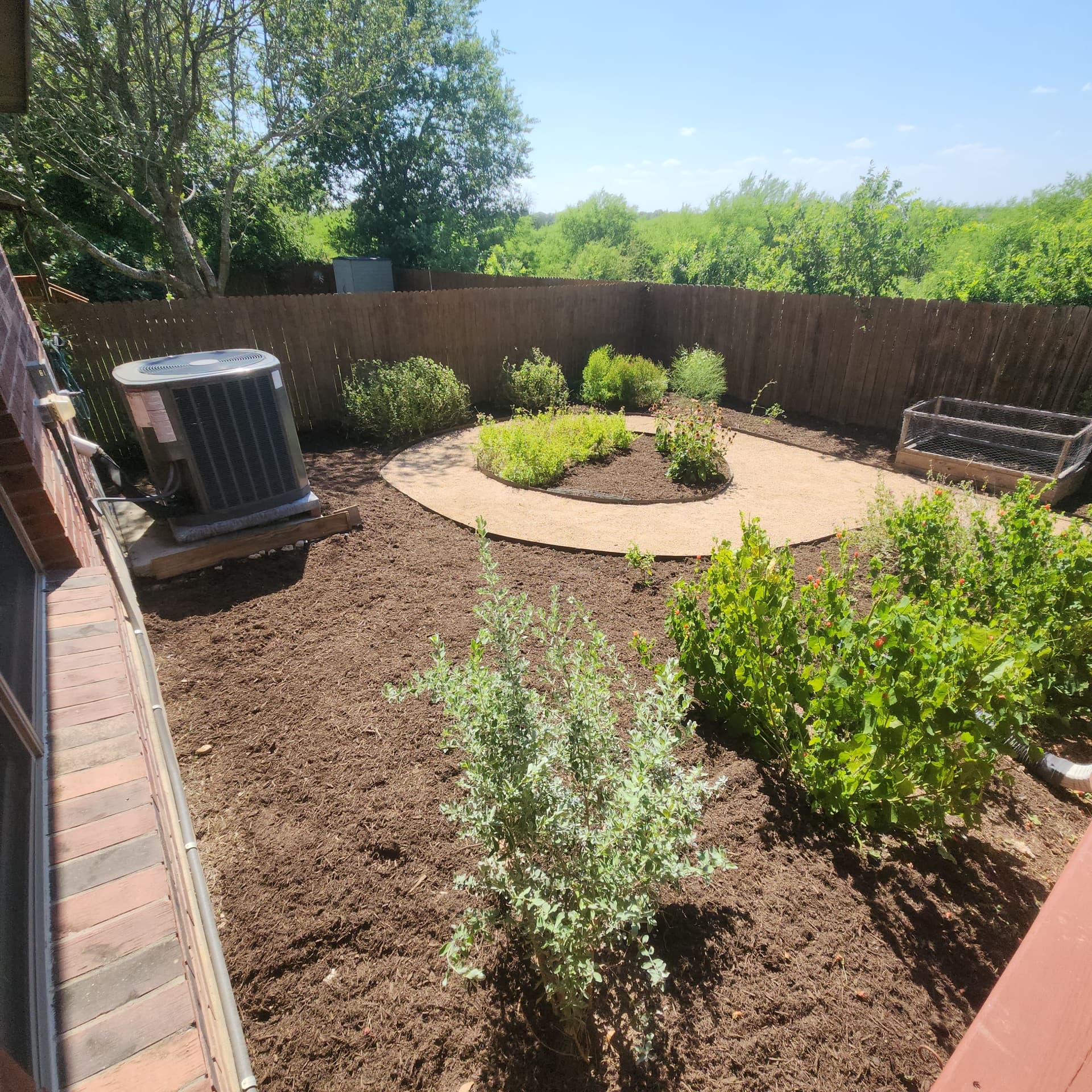 Gallery photos for Xeriscaped Backyard Cleanup Gets Back Under Control: Image #8