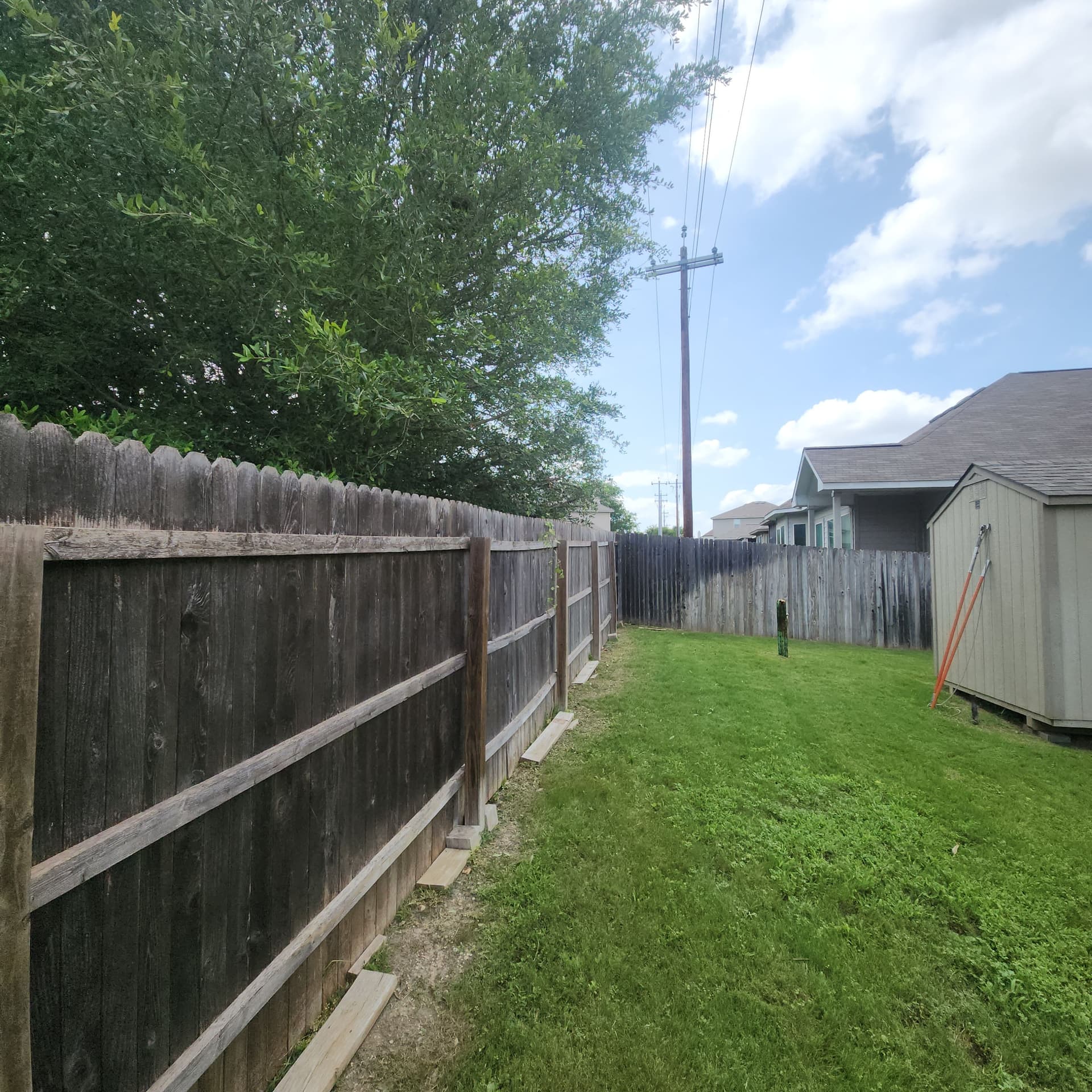 Gallery photos for Tree Trimming Along the Fence Line - Before and After: Image #4