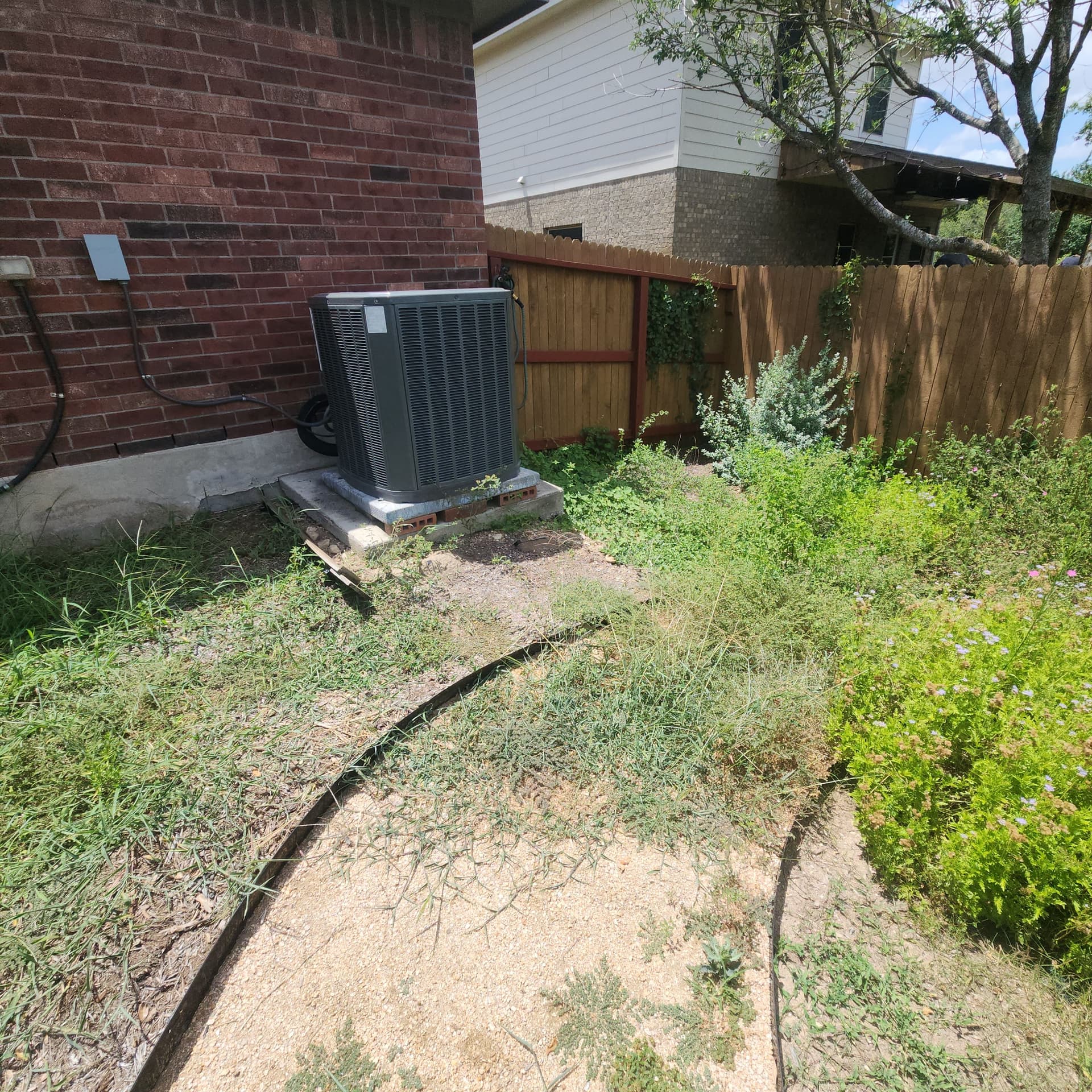 Gallery photos for Xeriscaped Backyard Cleanup Gets Back Under Control: Image #4