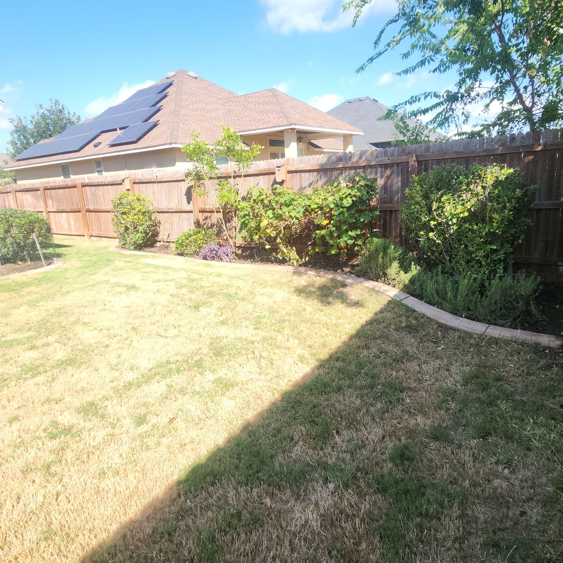 Gallery photos for Shrub Trimming and Yard Cleanup for New Texas Homeowners: Image #8