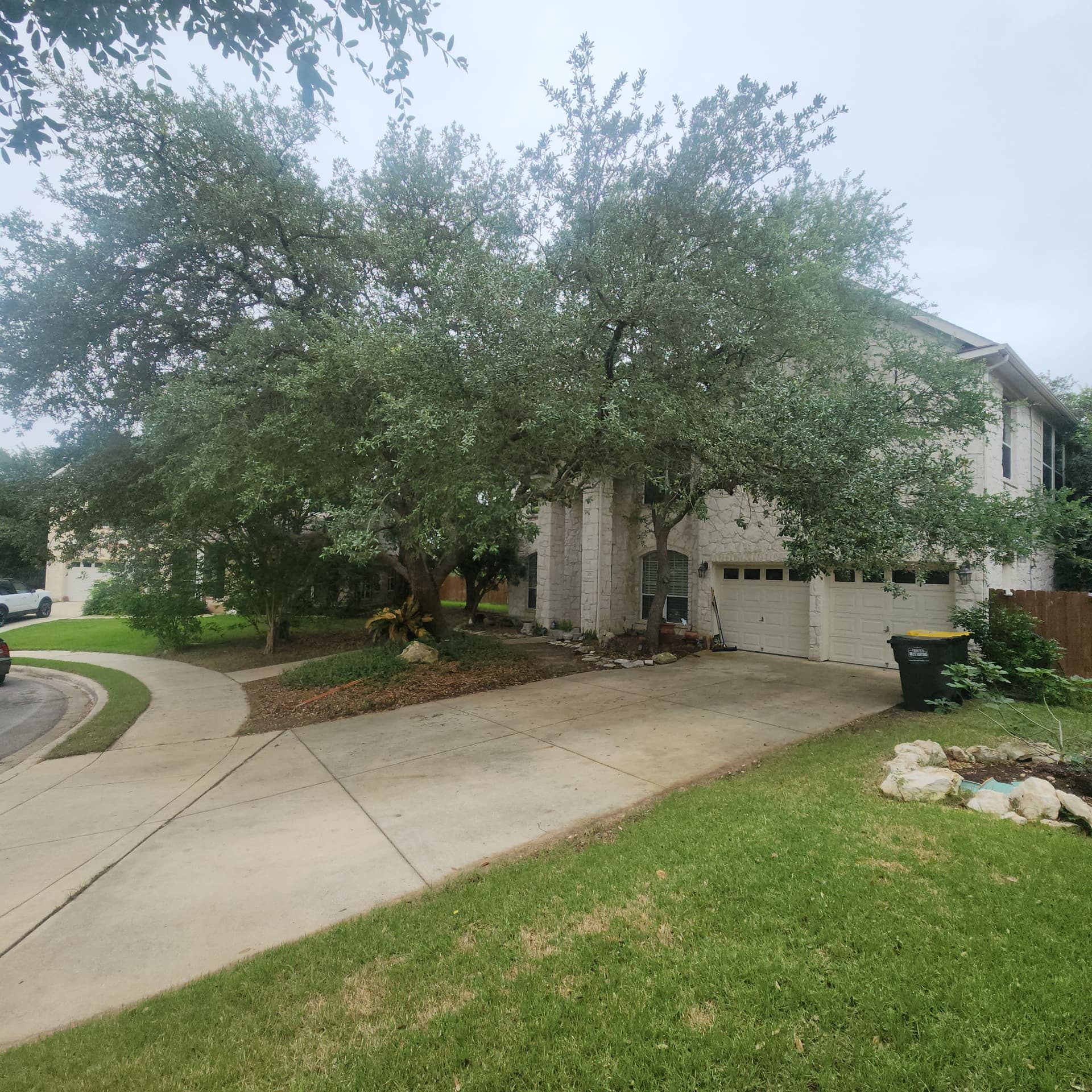 Gallery photos for Tree Trimming That Clears the Way Without Hurting the Tree: Image #3