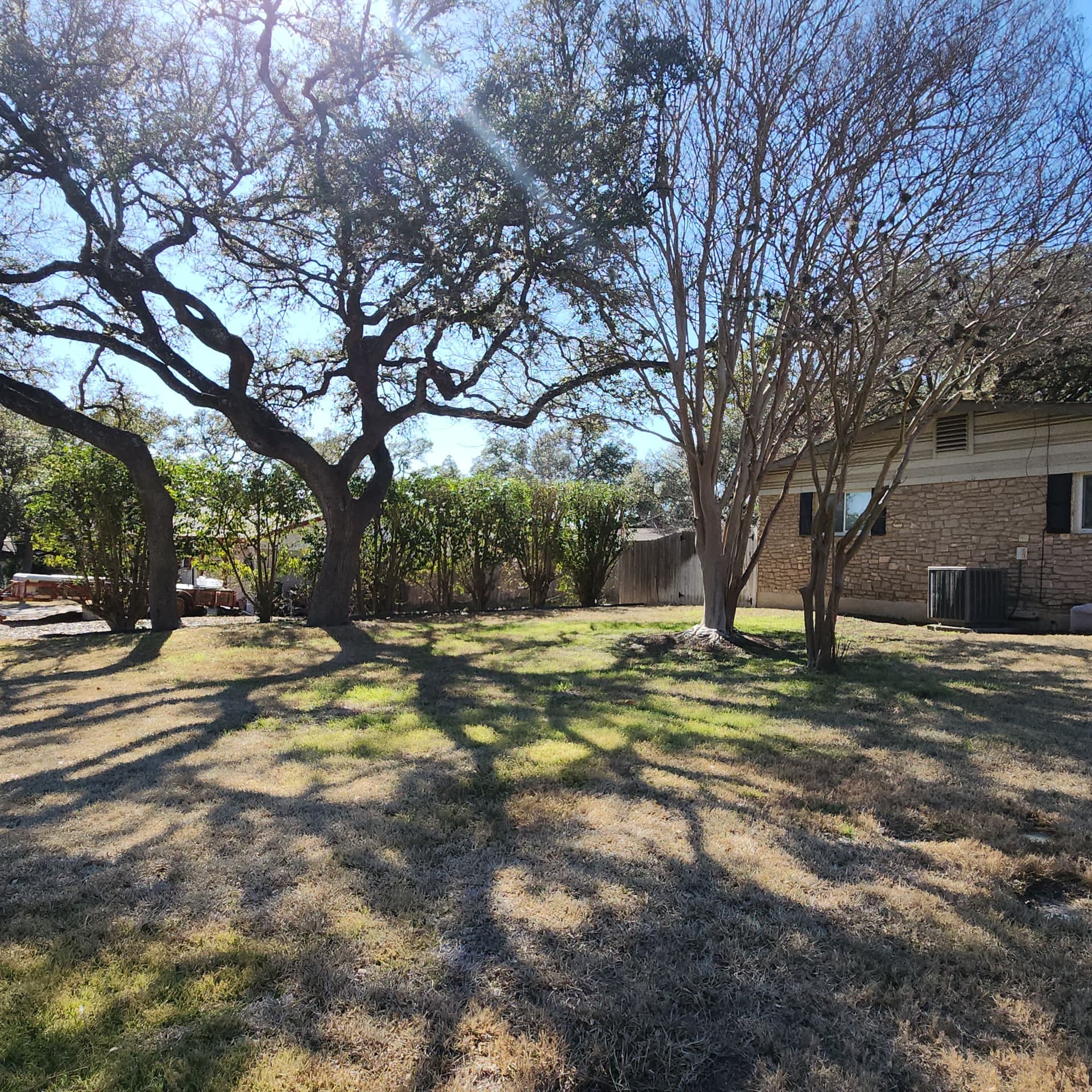 Gallery photos for Expert Hedge Trimming in Universal City TX: Image #6