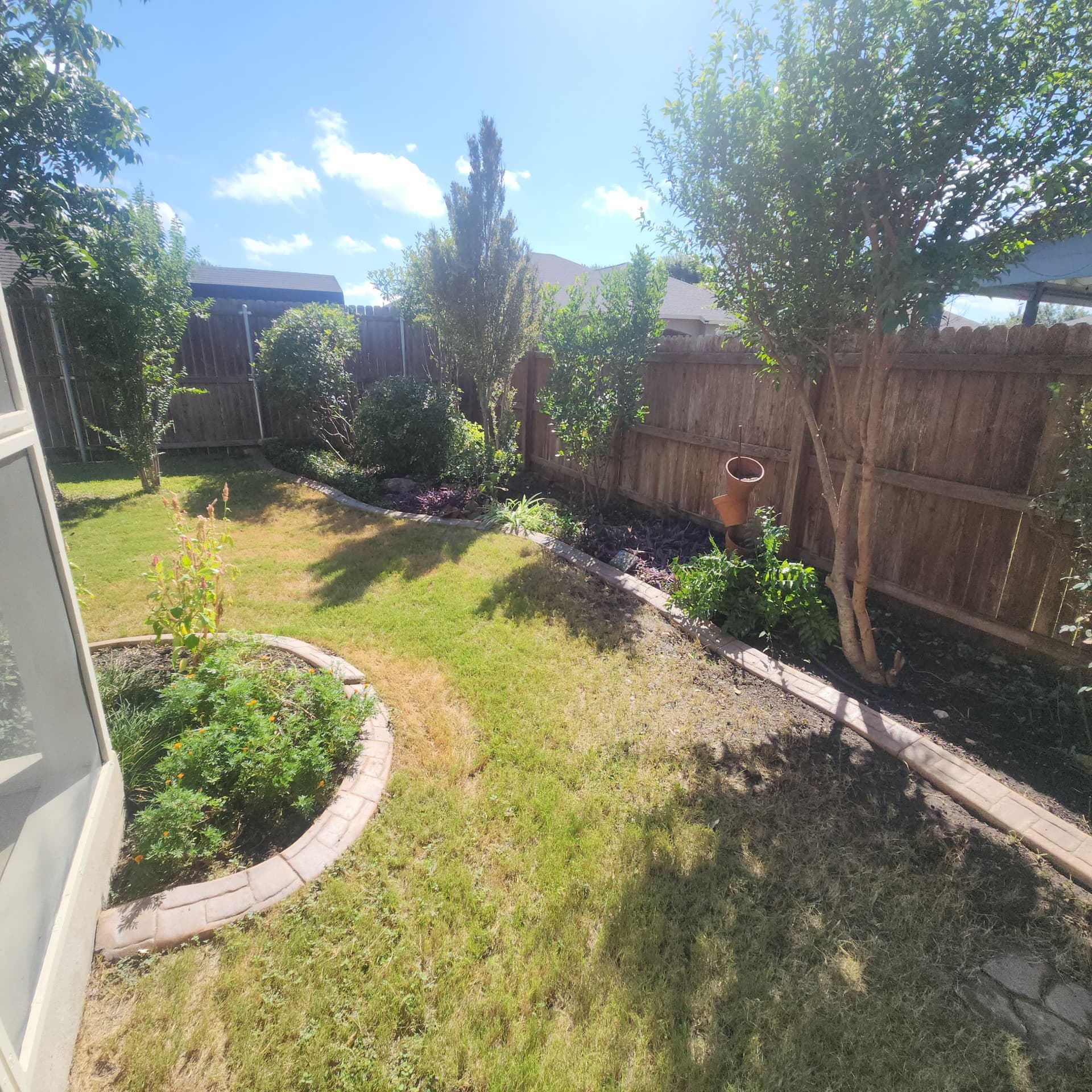 Gallery photos for Shrub Trimming and Yard Cleanup for New Texas Homeowners: Image #5