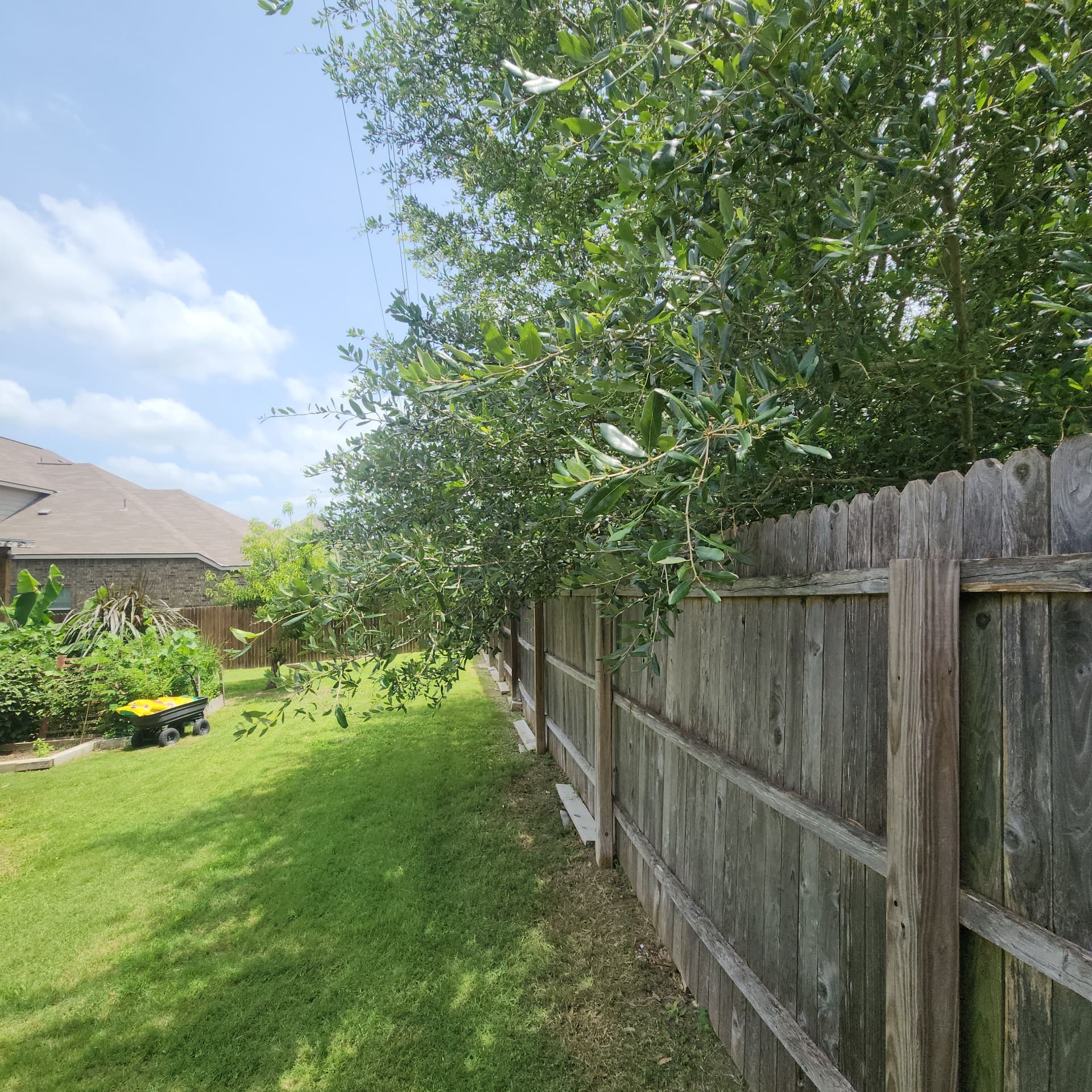 Tree Trimming Along the Fence Line - Before and After image