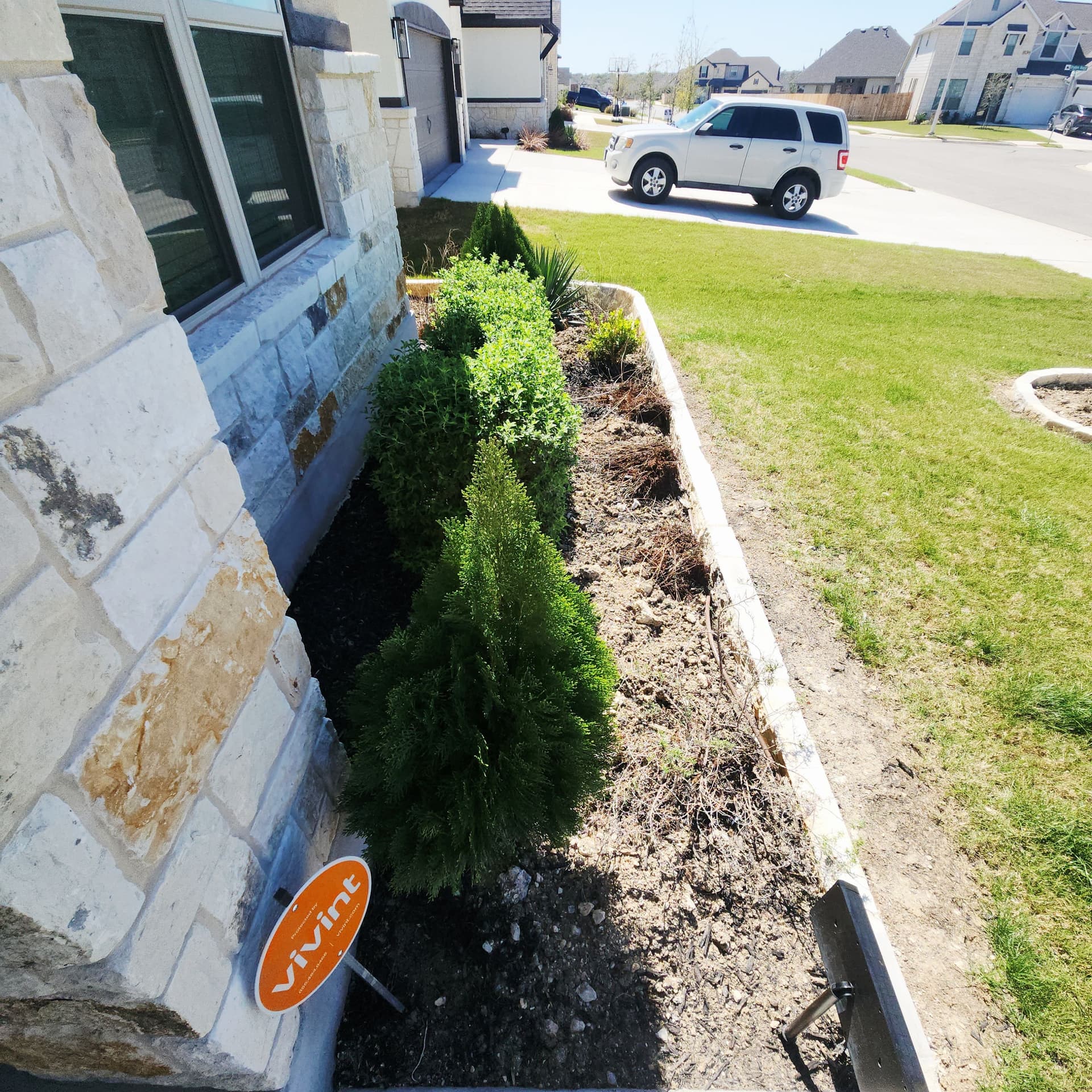 Flower Bed Restoration in Cibolo image