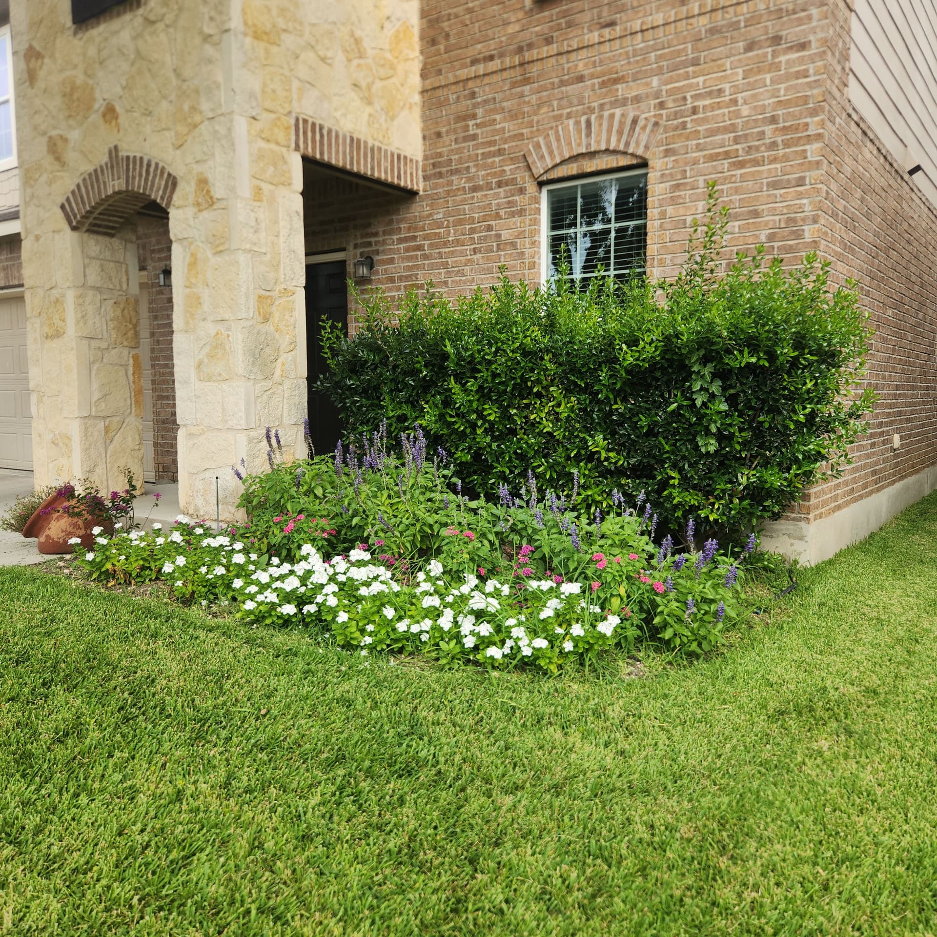 Gallery photos for Shrub Shaping, Tree Trimming, and Roof Clearance Done Right: Image #1