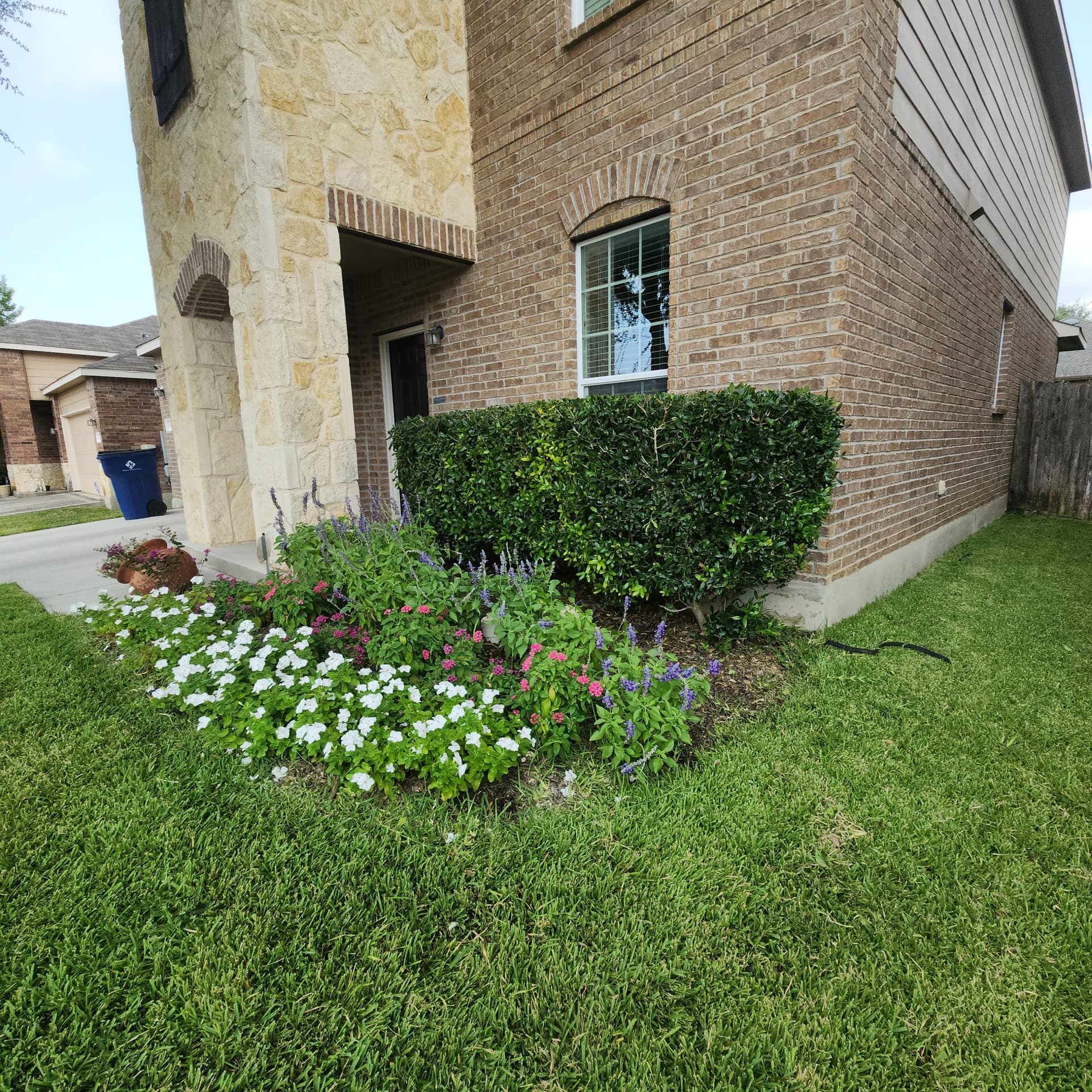 Shrub Shaping, Tree Trimming, and Roof Clearance Done Right image
