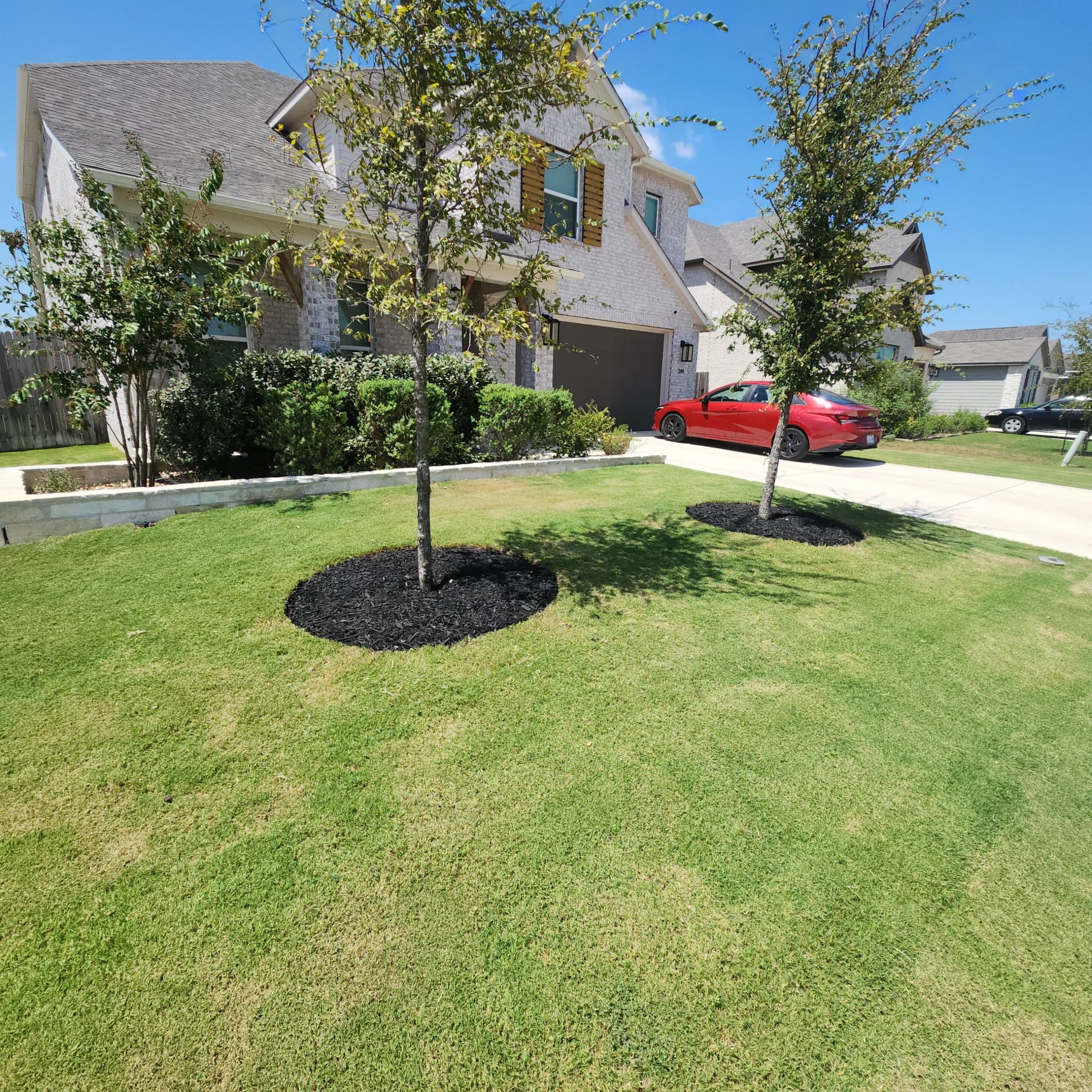 Gallery photos for Tree Ring Mulch Refresh That Actually Helps Your Trees Grow: Image #2