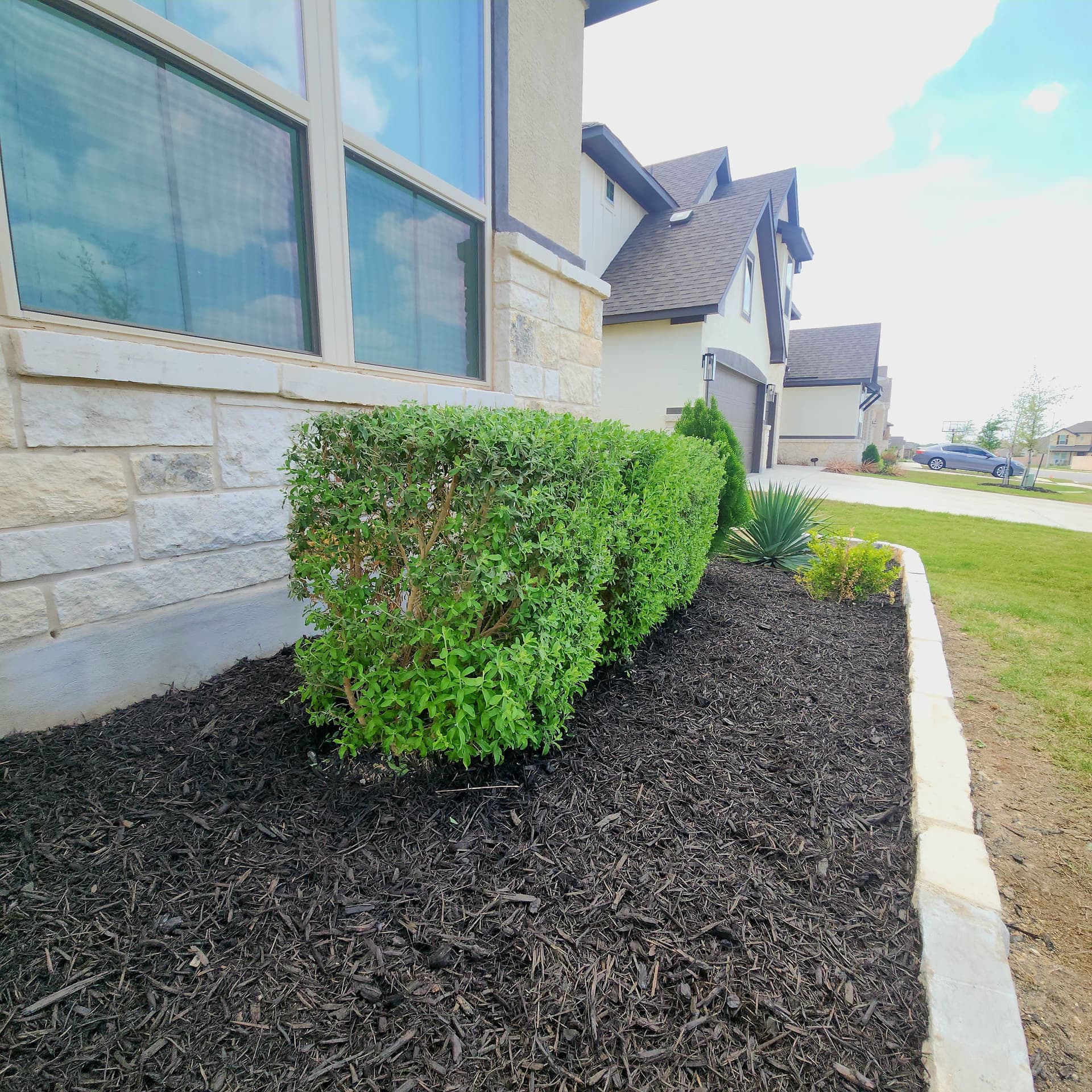 Gallery photos for Flower Bed Restoration in Cibolo: Image #1