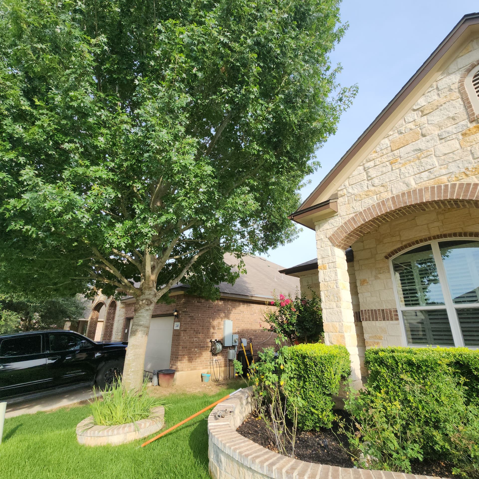 Gallery photos for Shrub Shaping, Tree Trimming, and Roof Clearance Done Right: Image #8