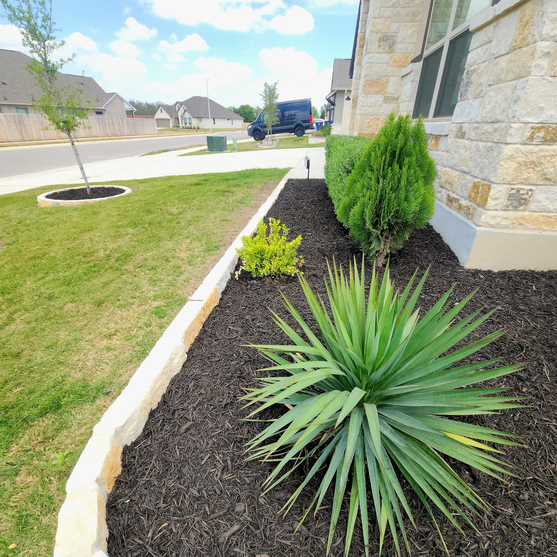 Gallery photos for Flower Bed Restoration in Cibolo: Image #6
