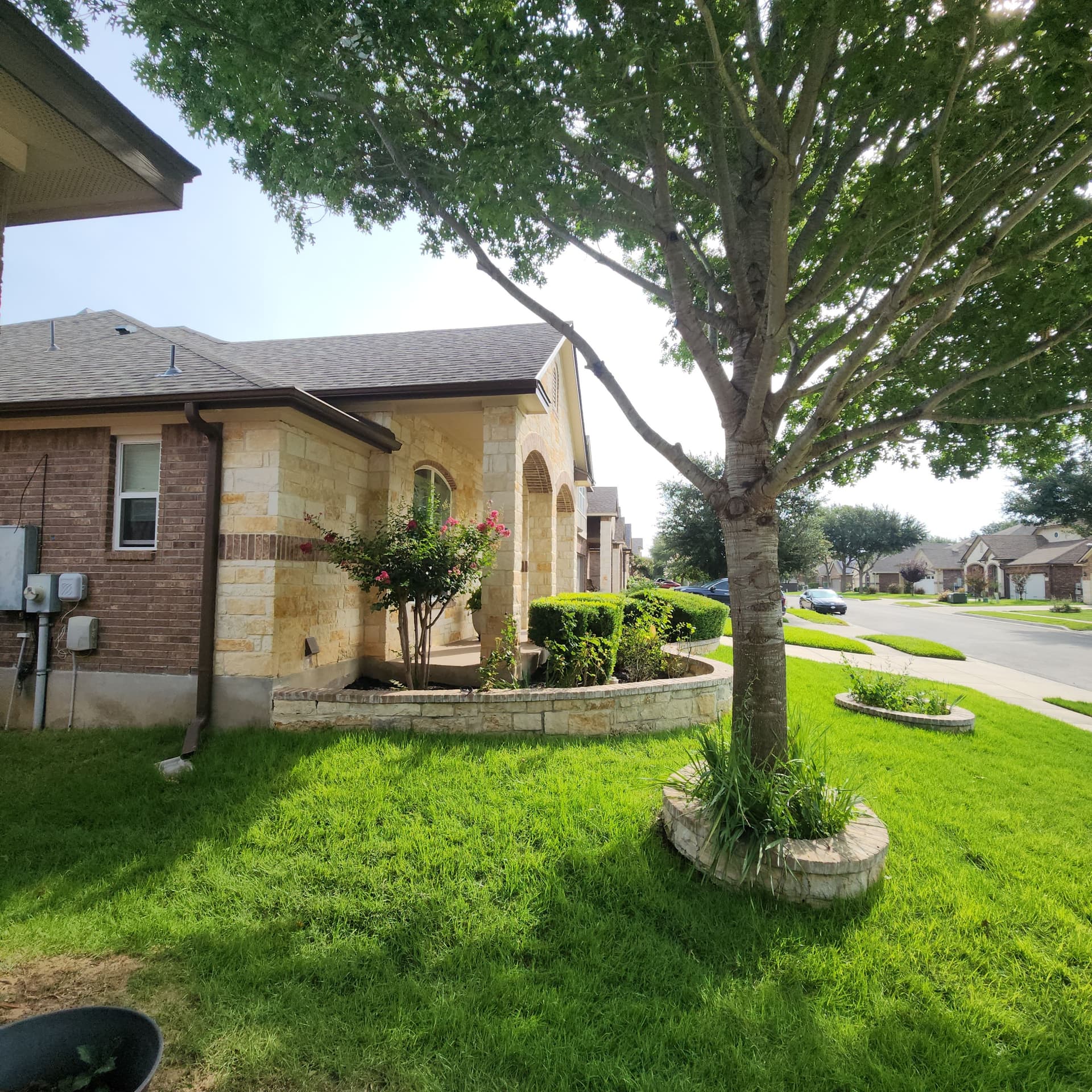 Gallery photos for Shrub Shaping, Tree Trimming, and Roof Clearance Done Right: Image #7