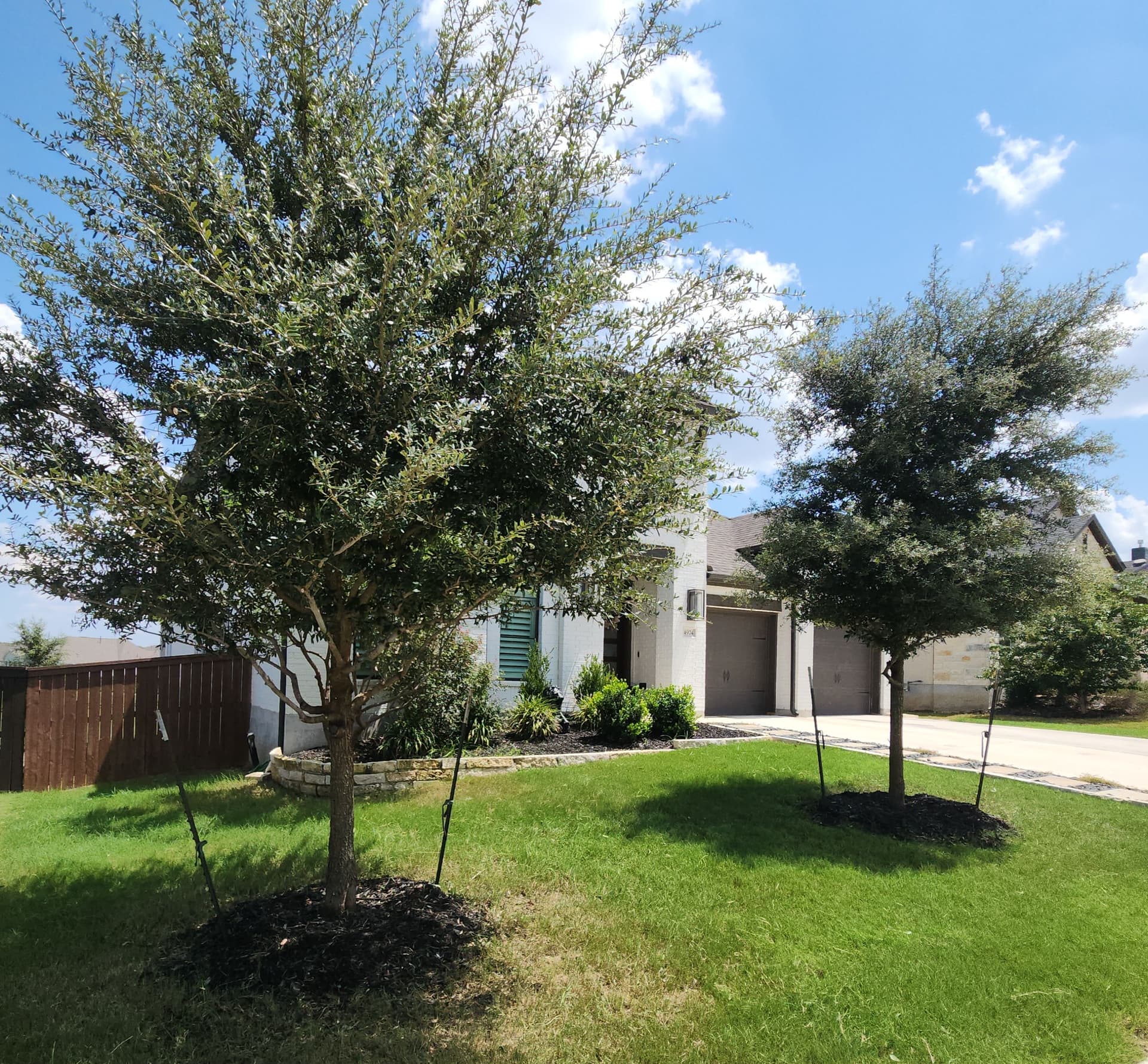 Gallery photos for Shrub Shaping, Tree Trimming, and Roof Clearance Done Right: Image #6