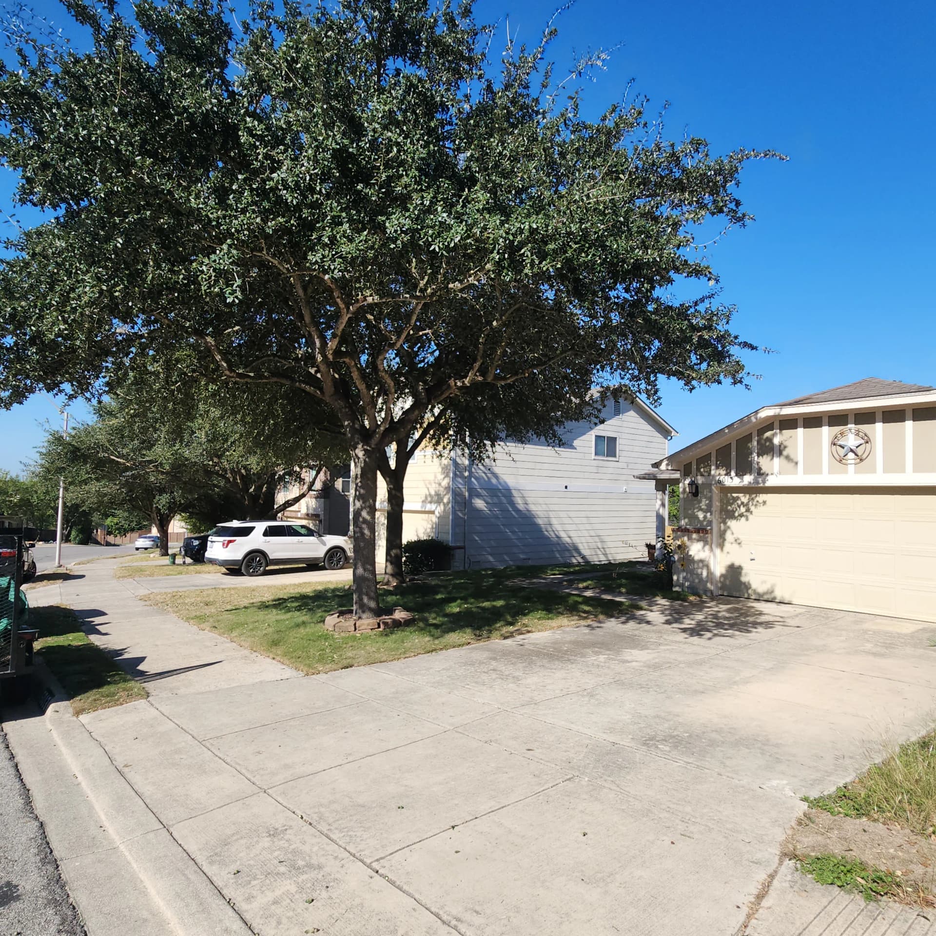 Gallery photos for Low-Hanging Tree Branches Trimmed for Driveway and Sidewalk Clearance: Image #2
