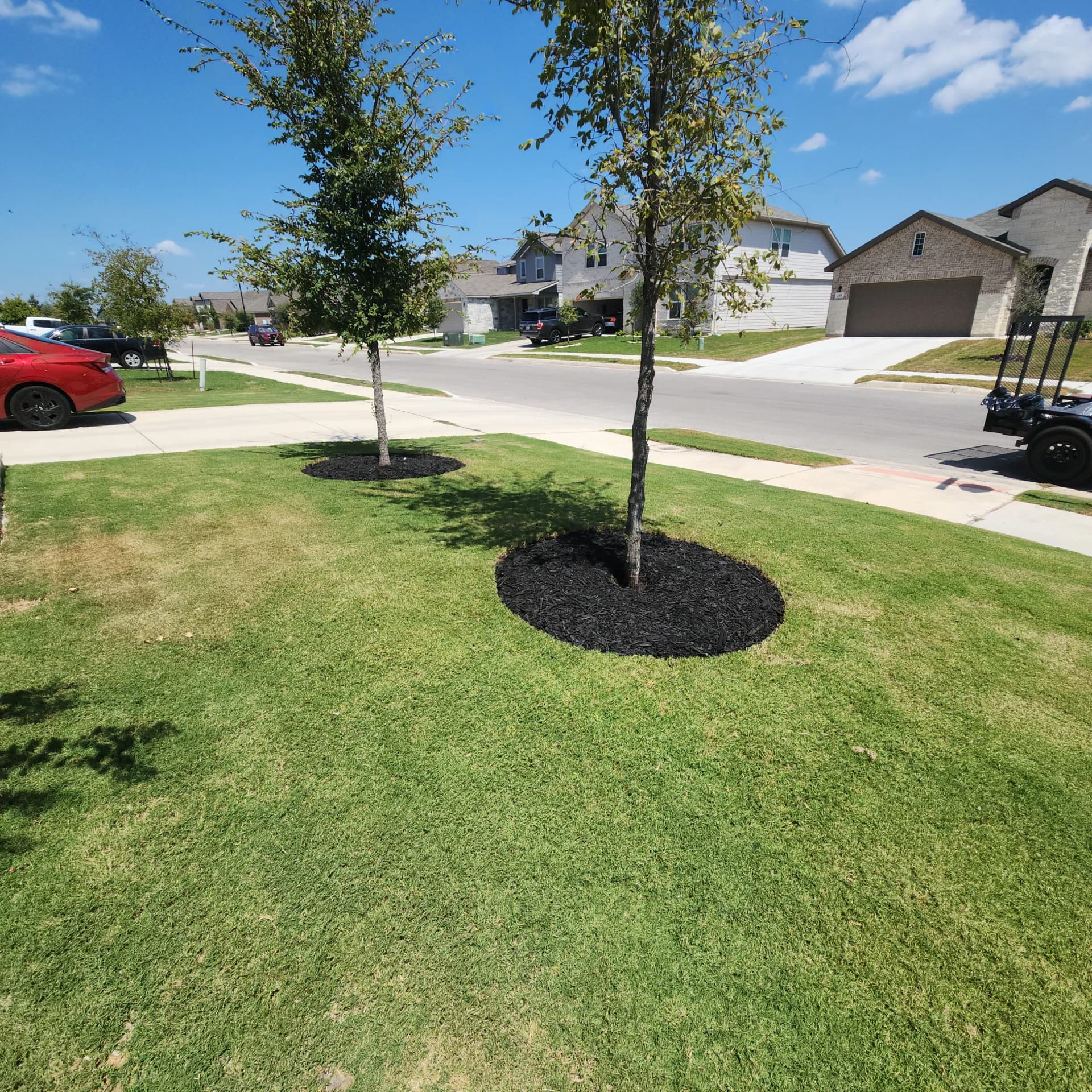 Gallery photos for Tree Ring Mulch Refresh That Actually Helps Your Trees Grow: Image #3