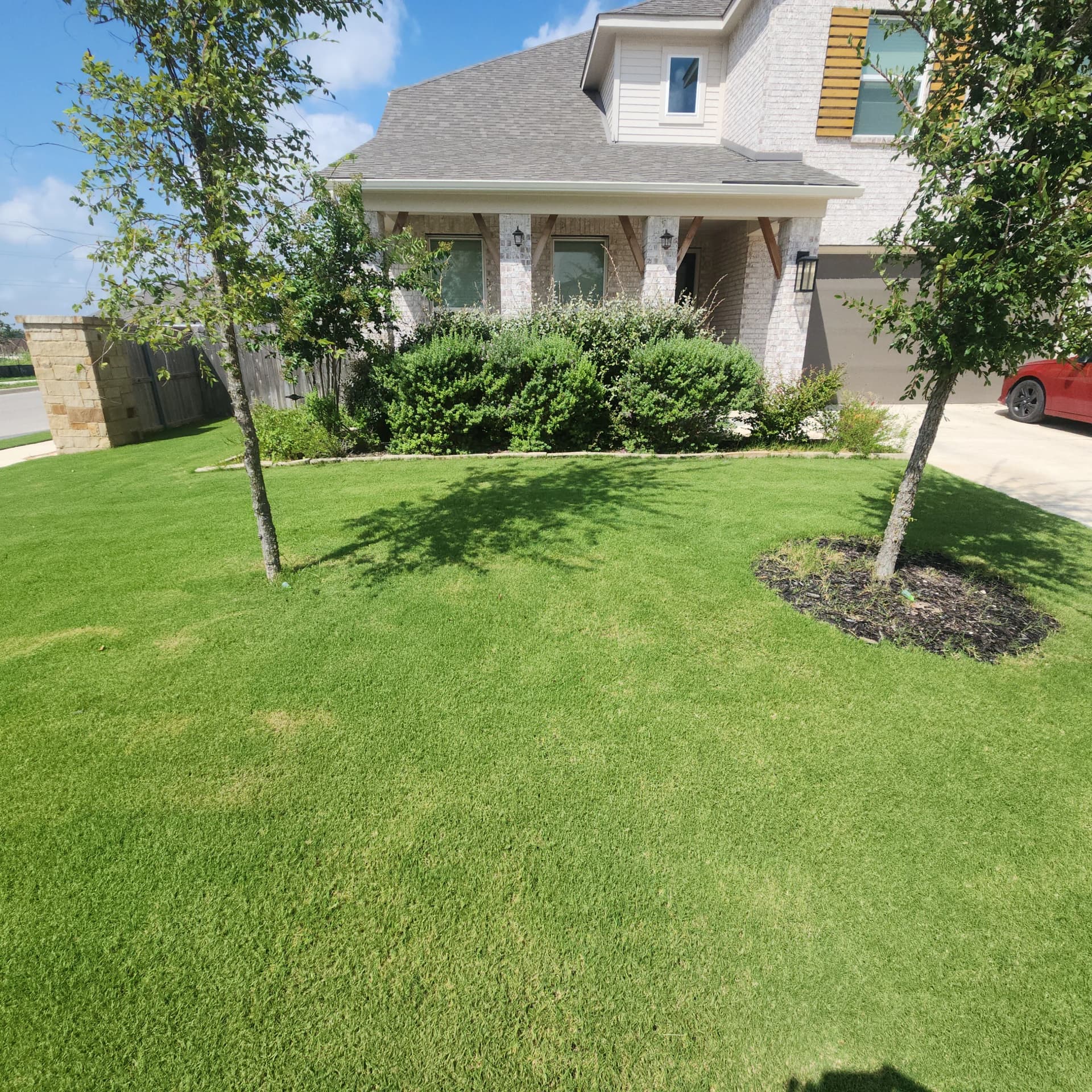 Gallery photos for Tree Ring Mulch Refresh That Actually Helps Your Trees Grow: Image #4